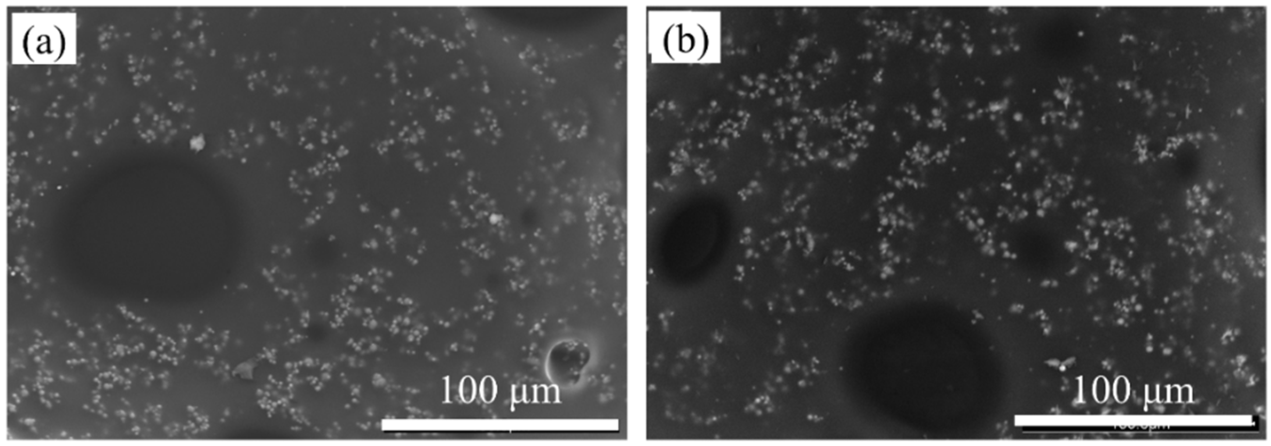 Polymers 16 00698 g004