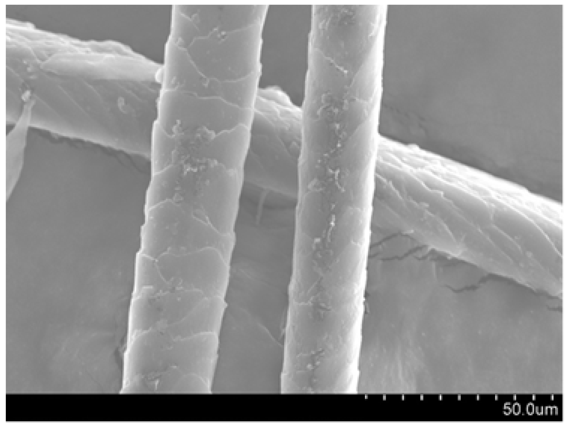 Polymers 16 00718 g009