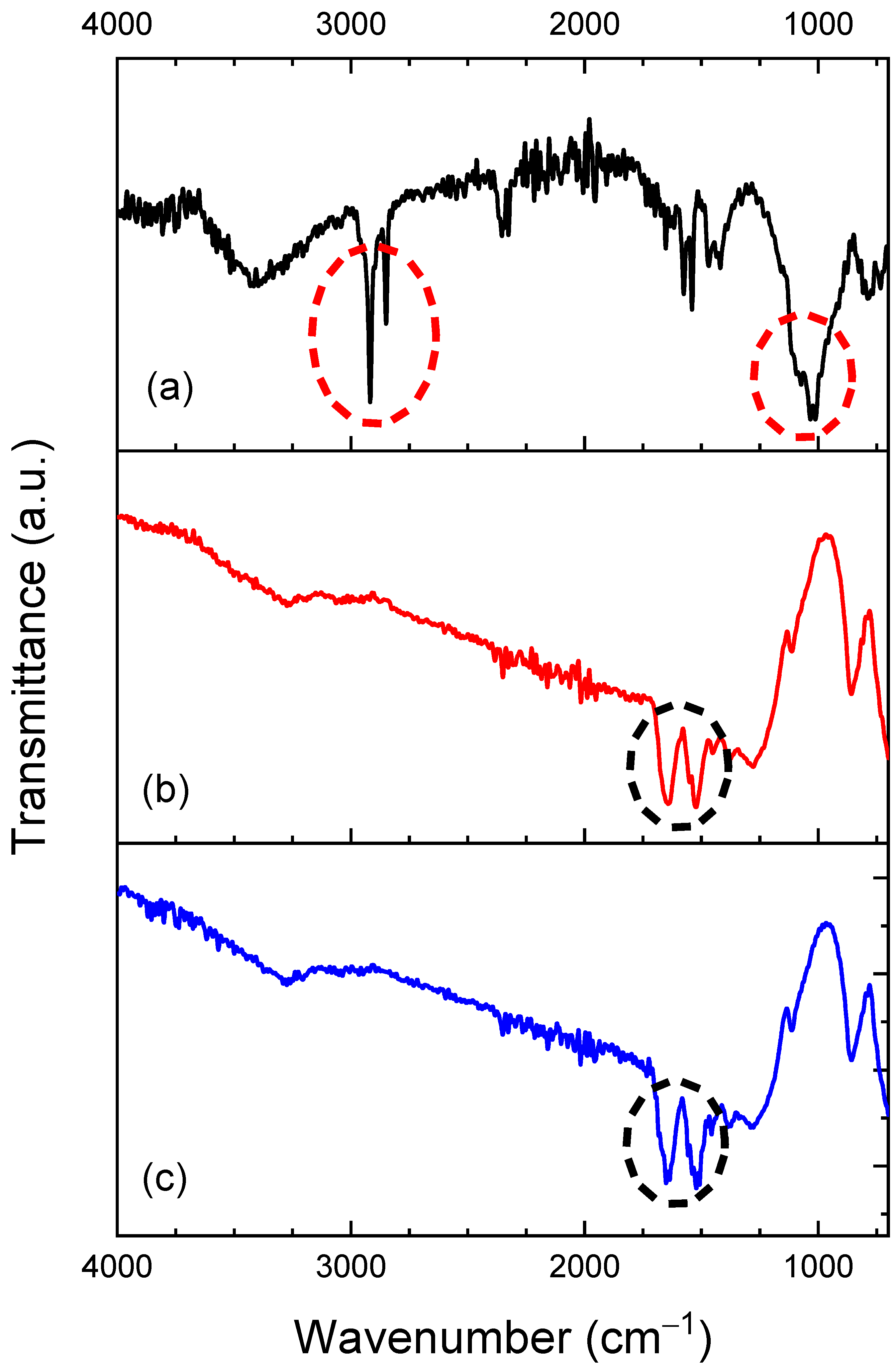 Polymers 16 00733 g004