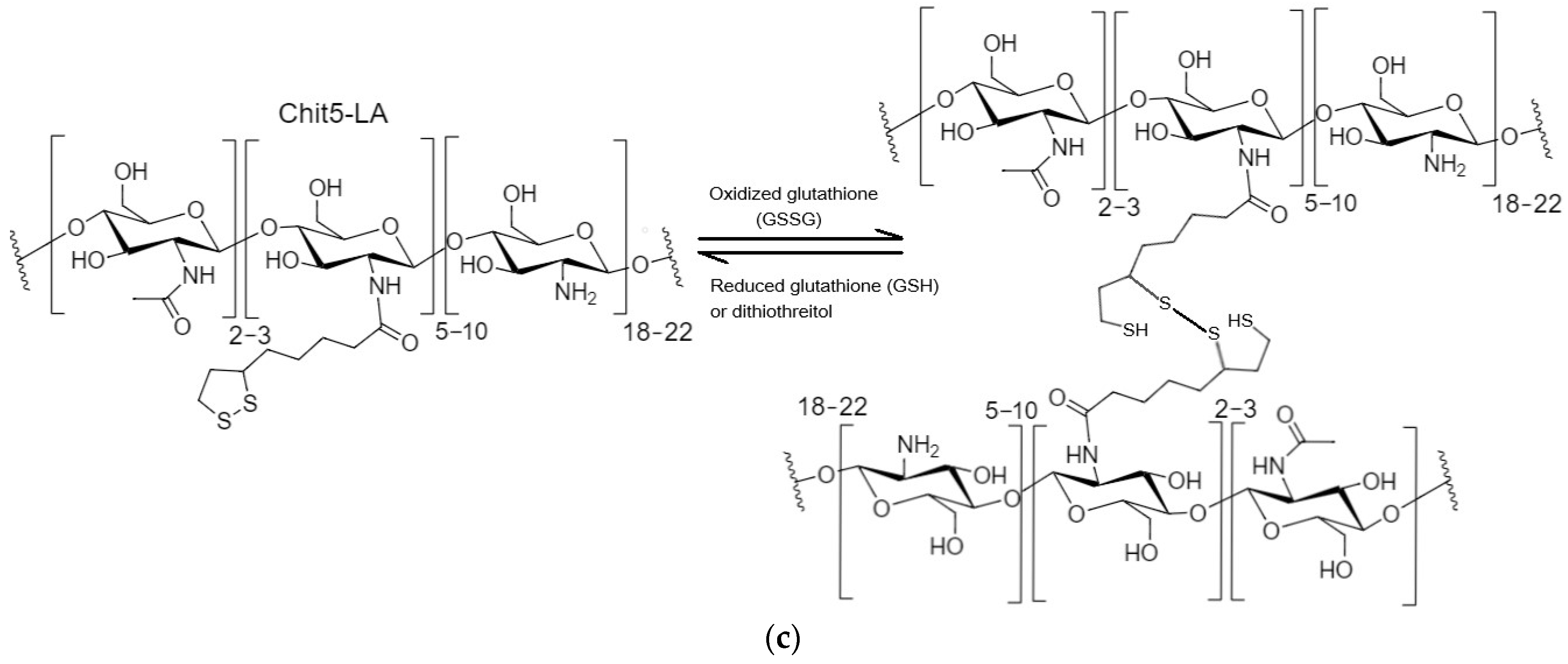 Polymers 16 00739 g004b