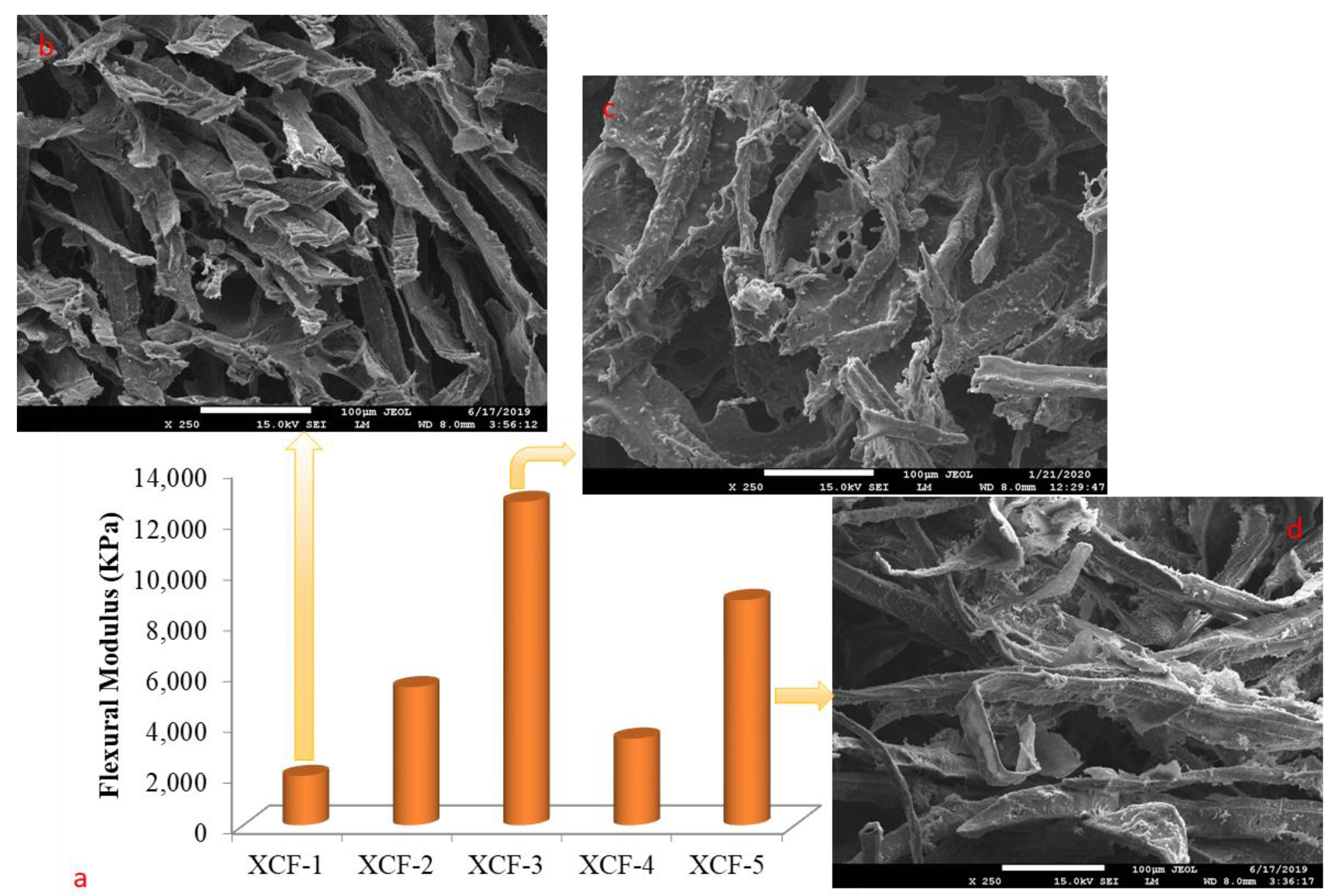 Polymers 16 00740 g004