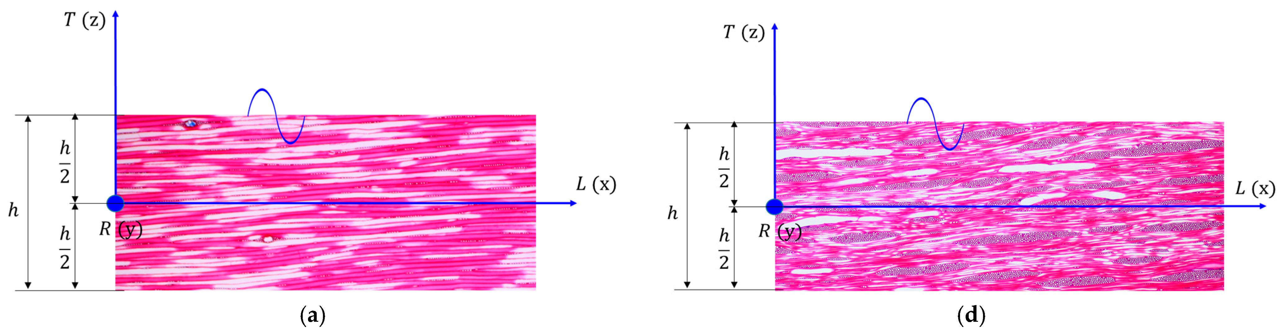 Polymers 16 00753 g006a