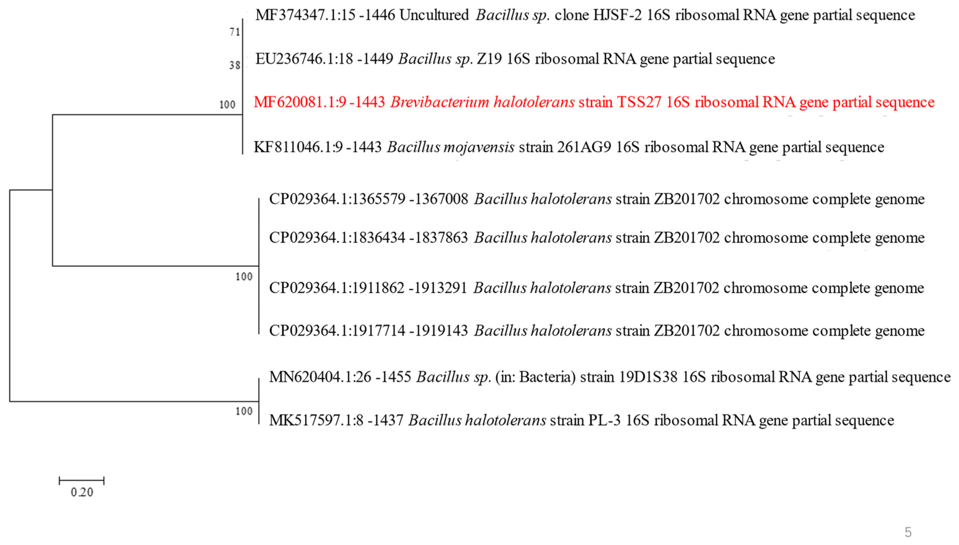 Polymers 16 00759 g001