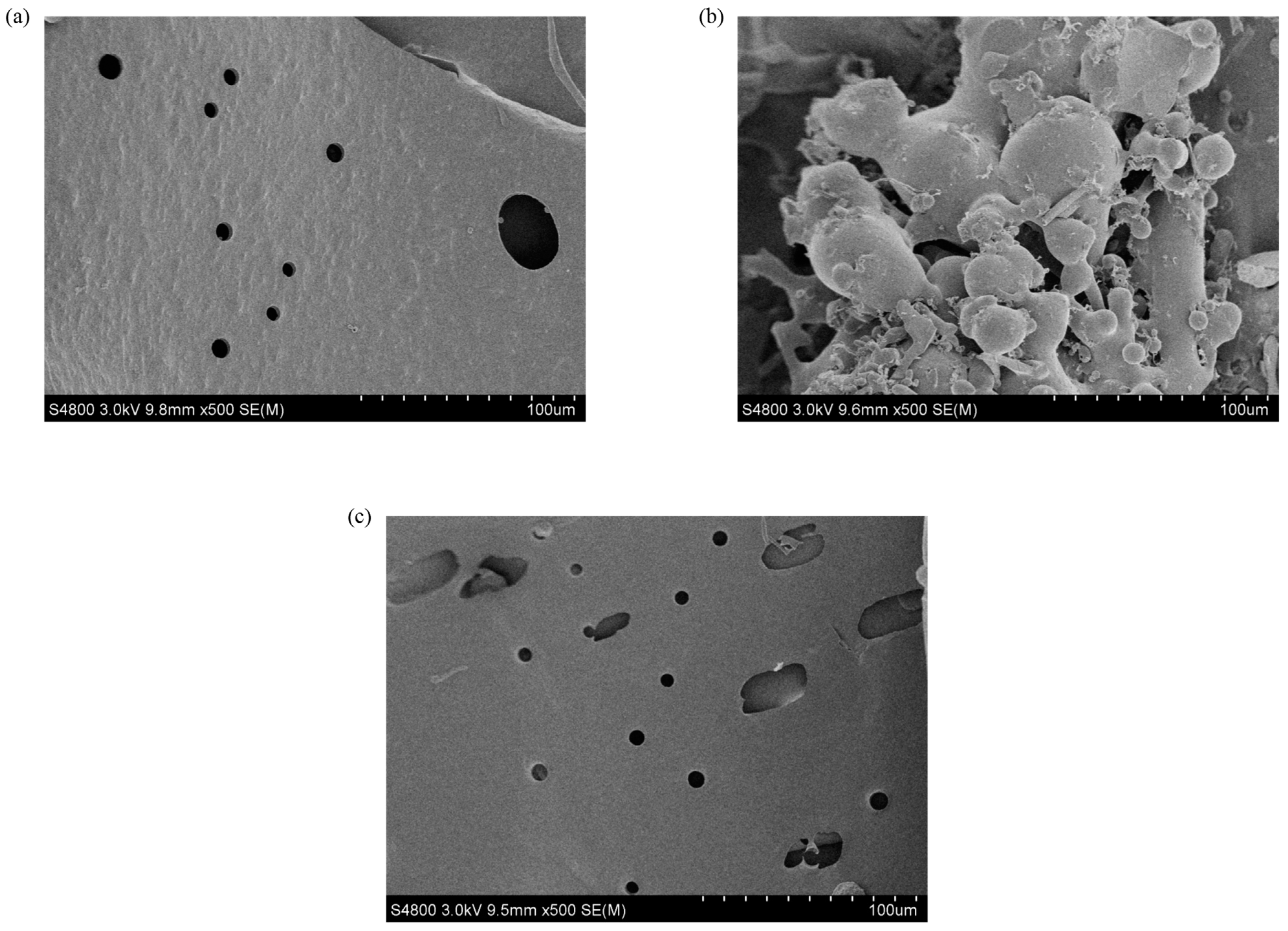 Polymers 16 00759 g011