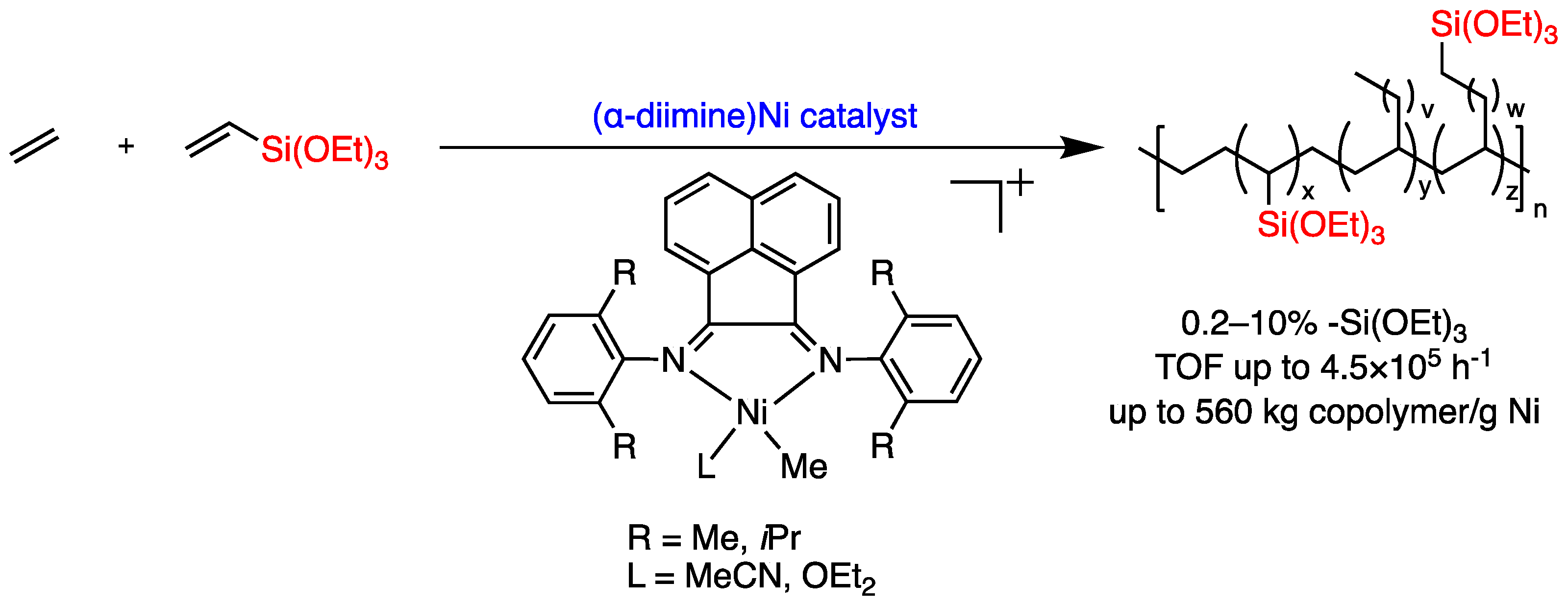 Polymers 16 00762 g003