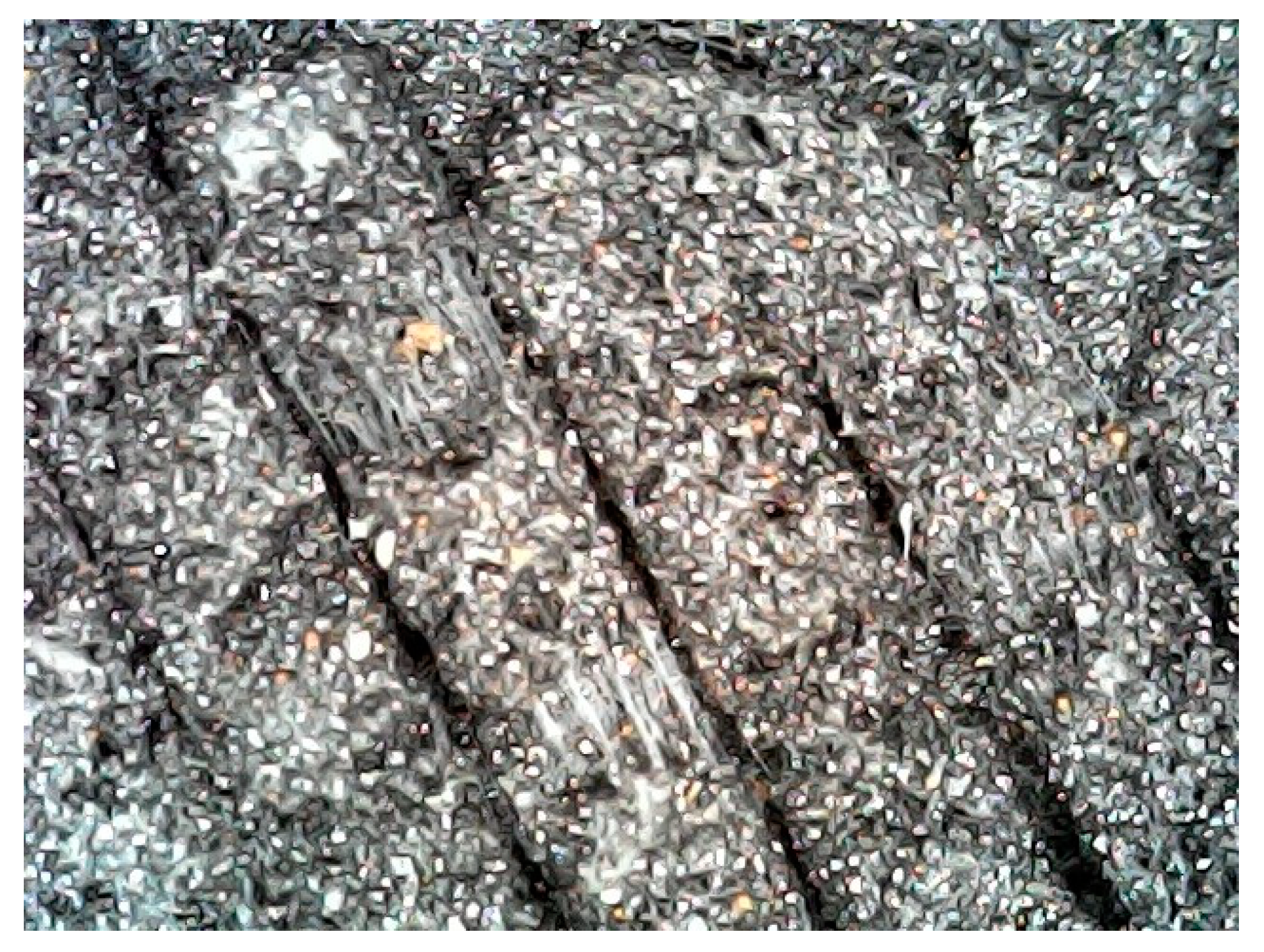 Polymers 16 00769 g009