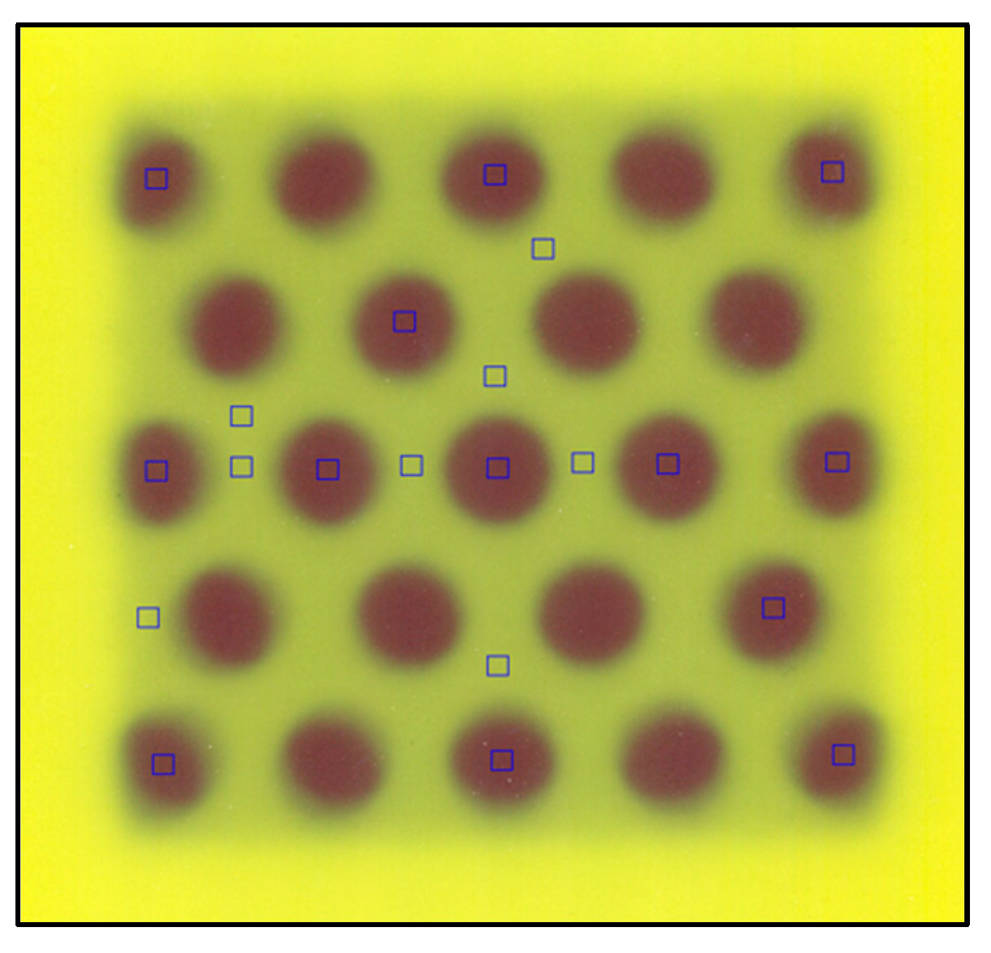 Polymers 16 00769 g012