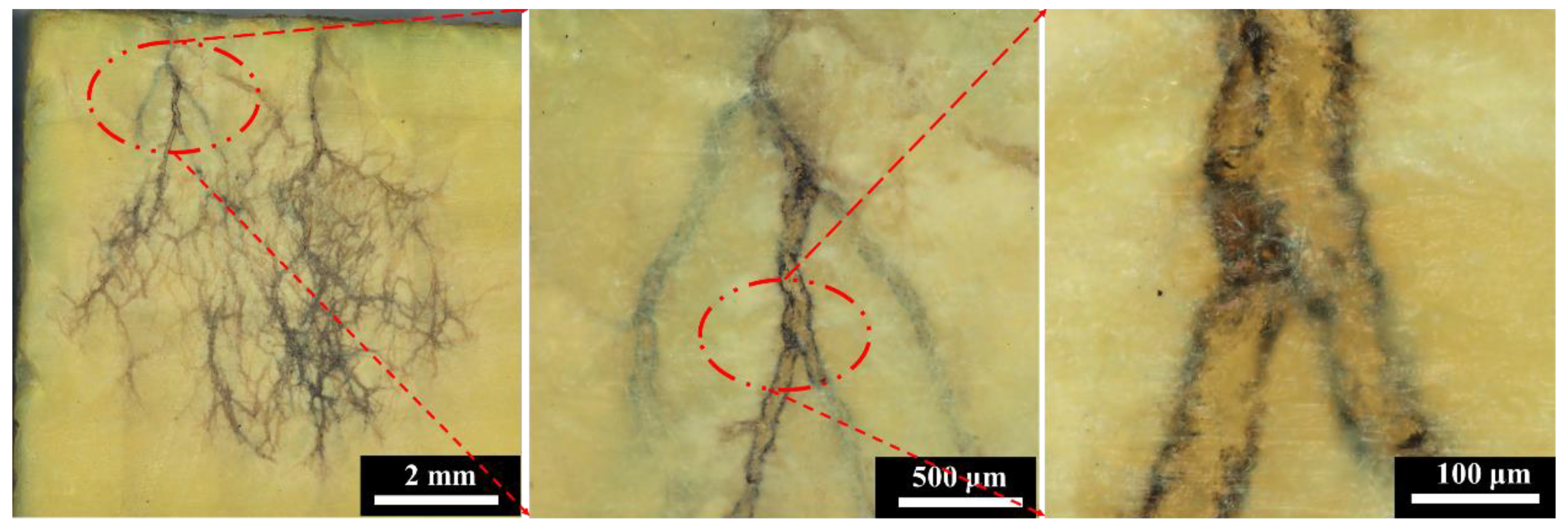 Polymers 16 00773 g005