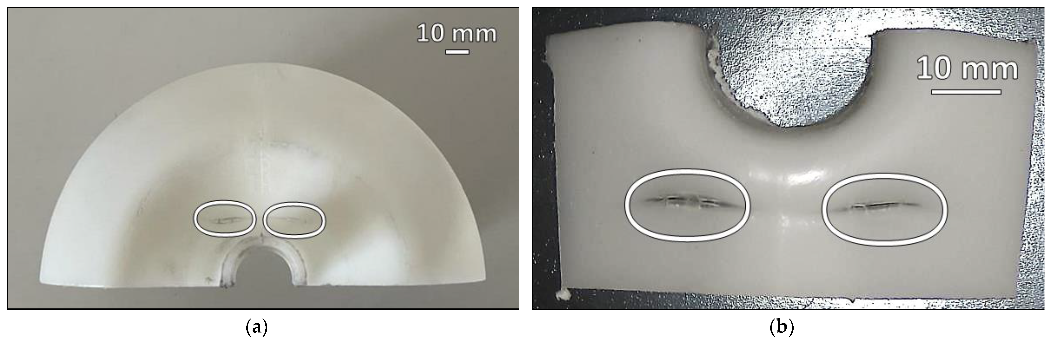 Polymers 16 00779 g001