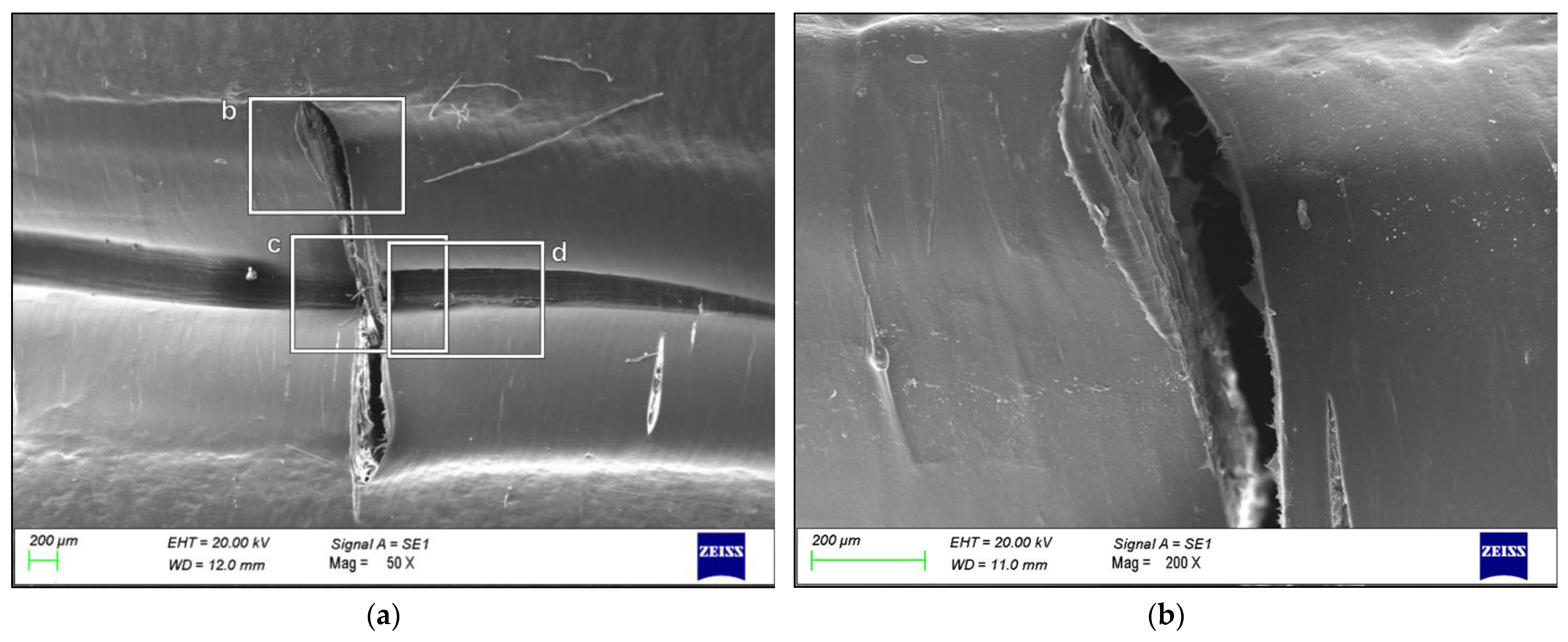 Polymers 16 00779 g002a