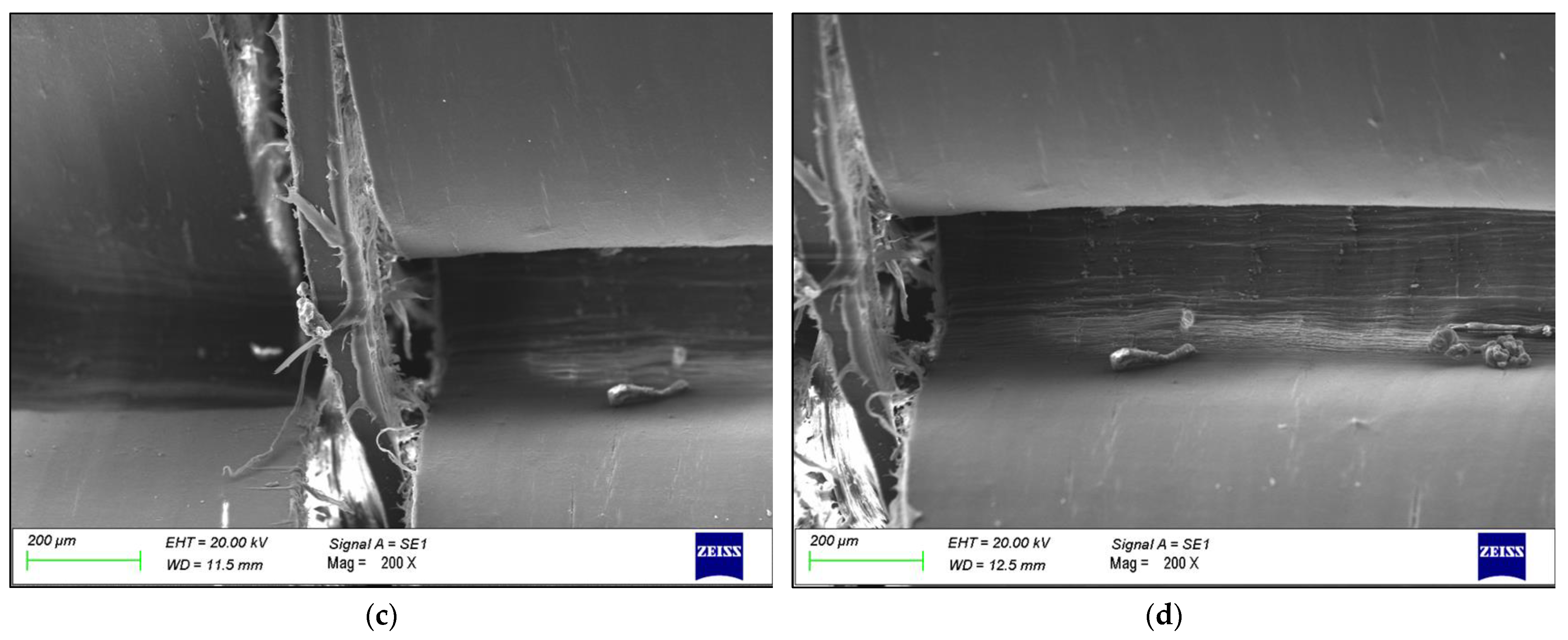 Polymers 16 00779 g002b