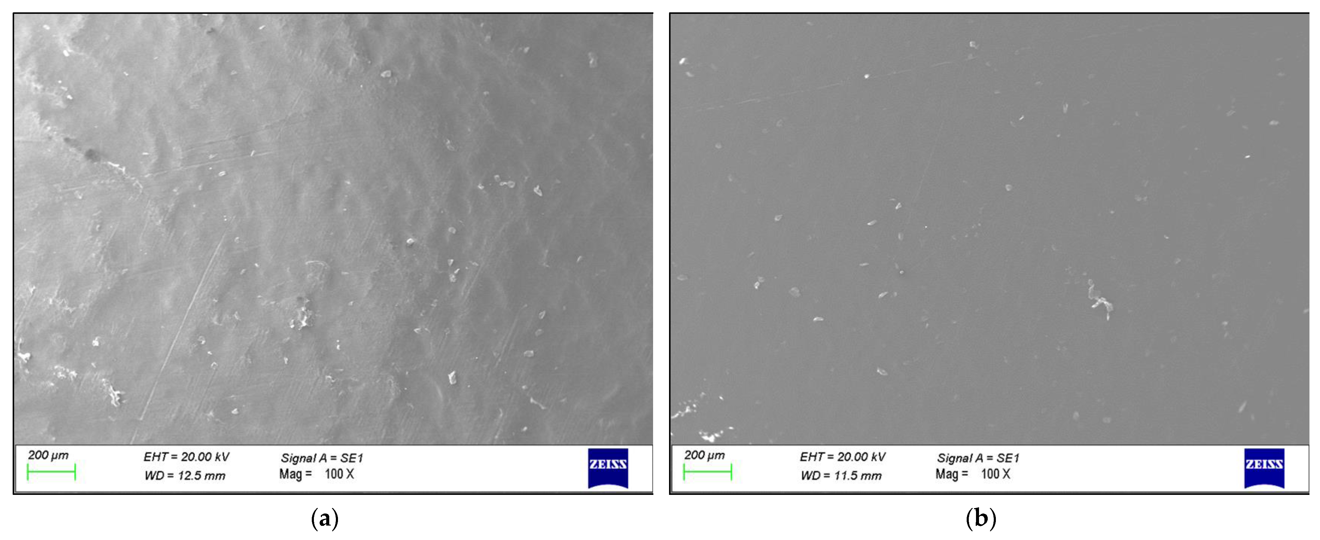 Polymers 16 00779 g003