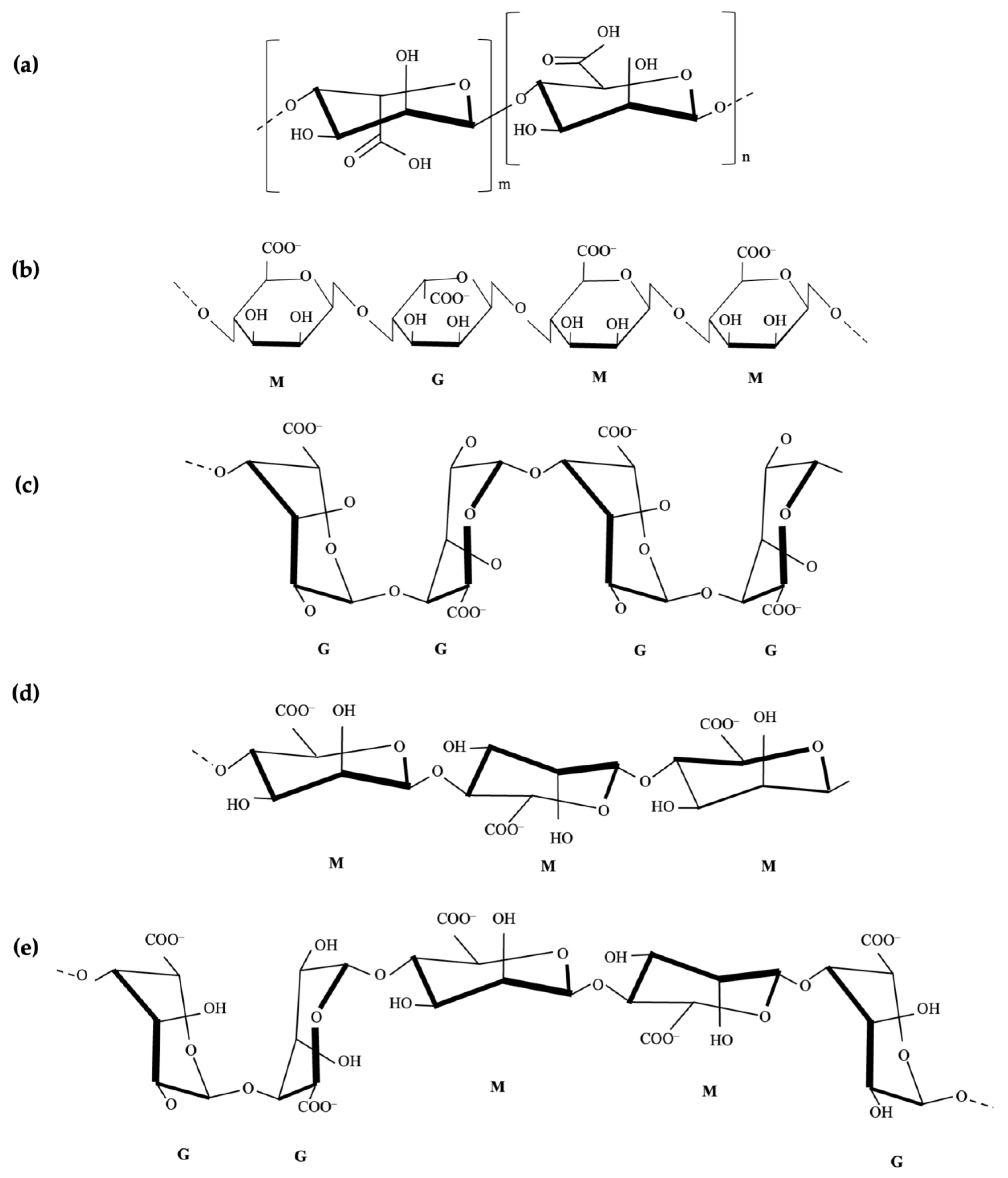Polymers 16 00788 g001
