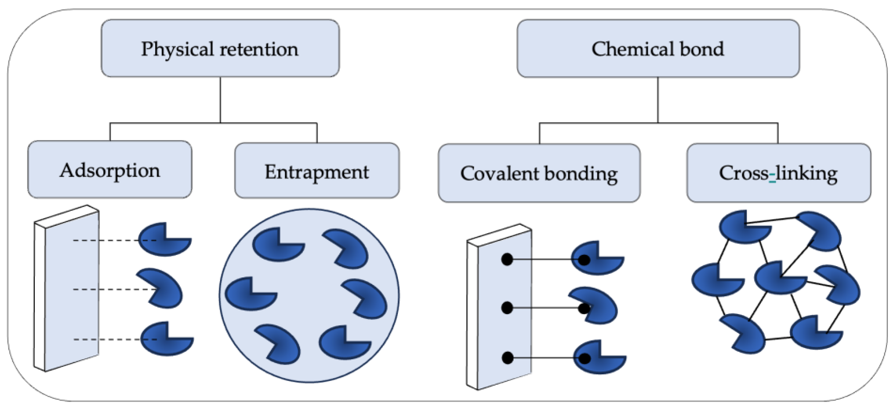 Polymers 16 00788 g004