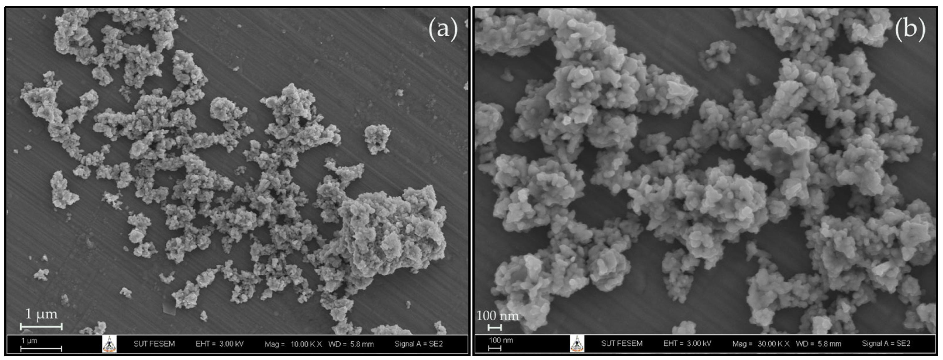 Polymers 16 00812 g003