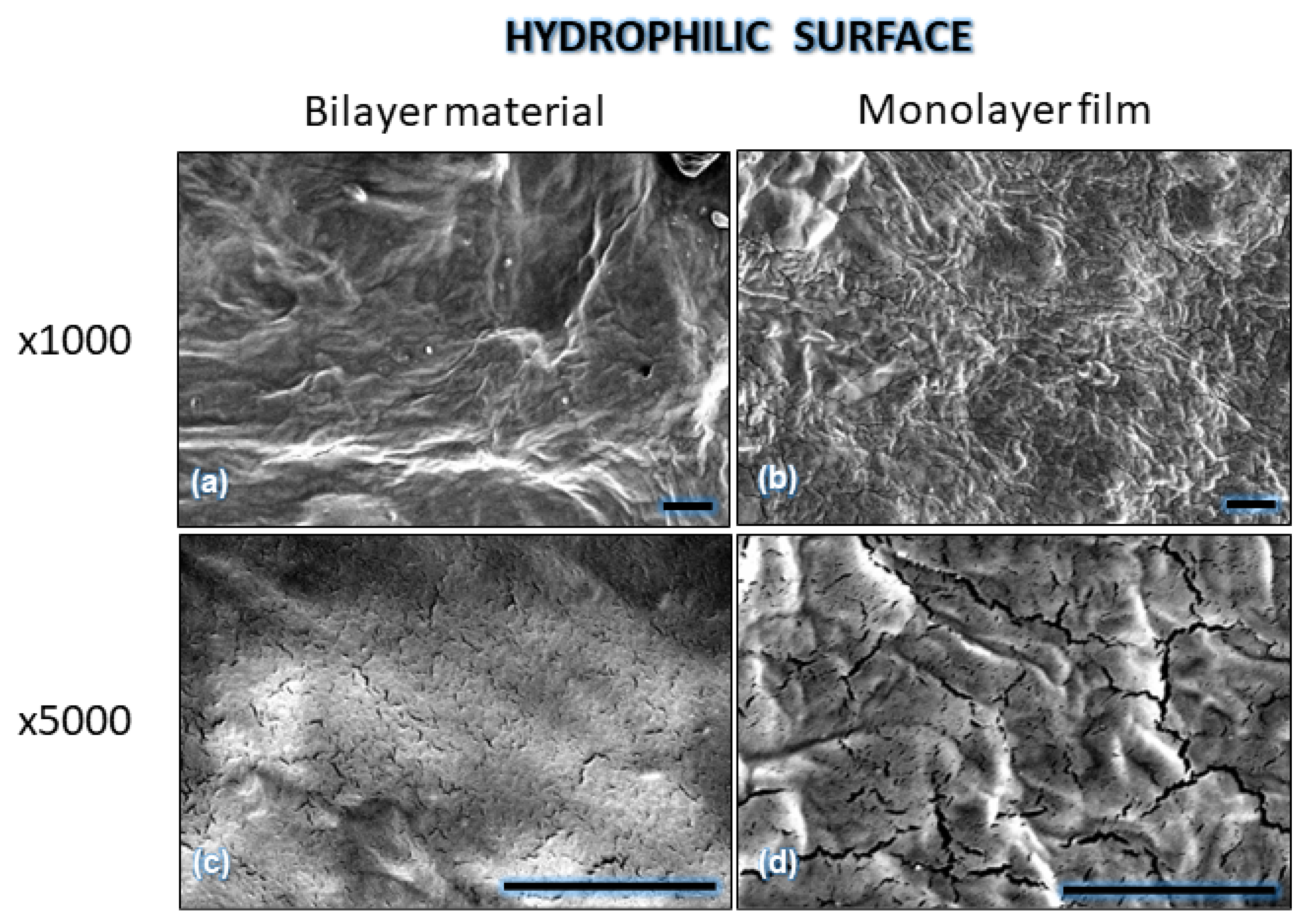 Polymers 16 00815 g002