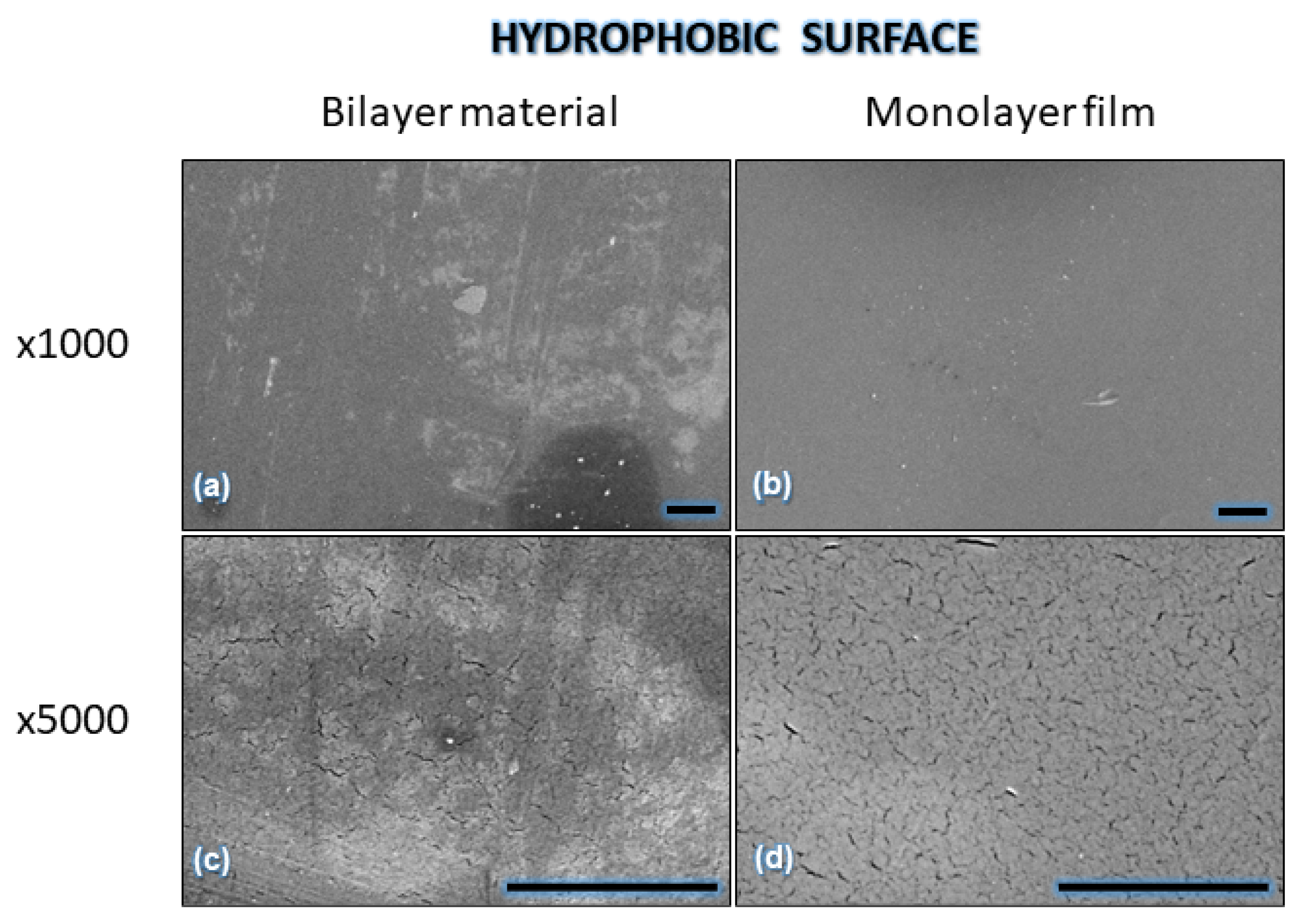 Polymers 16 00815 g003