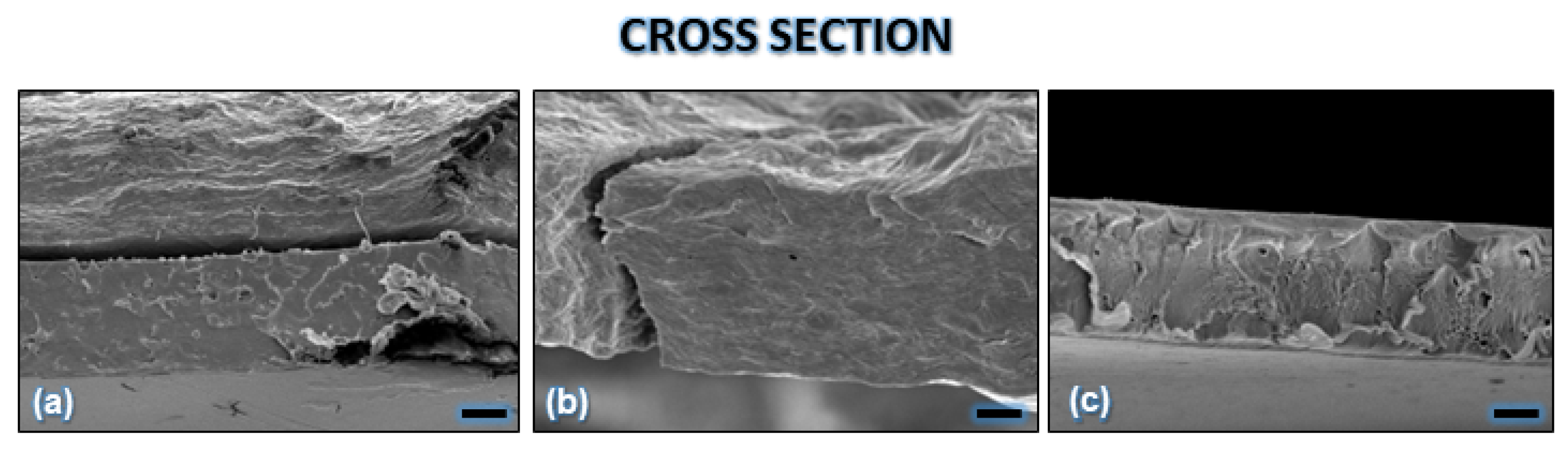 Polymers 16 00815 g004