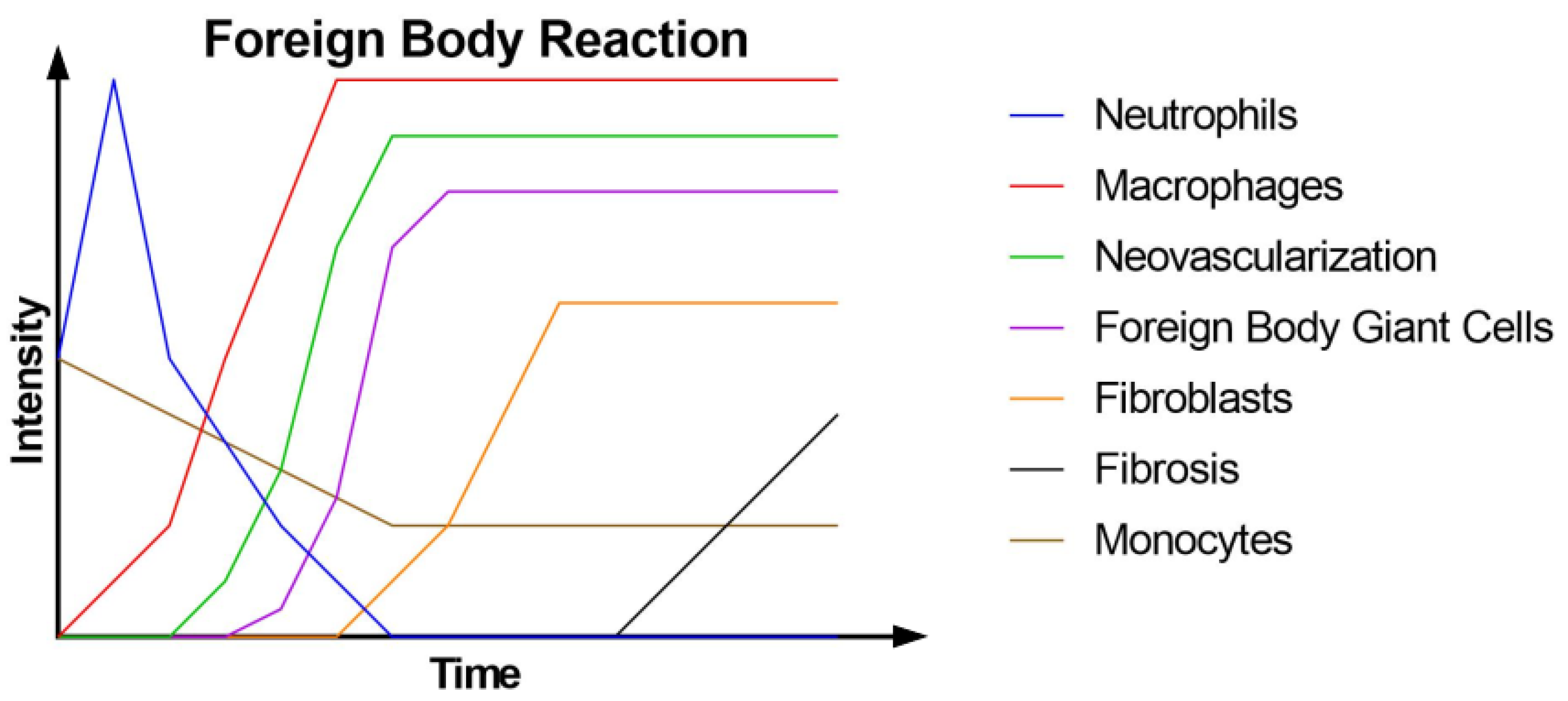 Polymers 16 00817 g001 Polymers 16 00817 g001