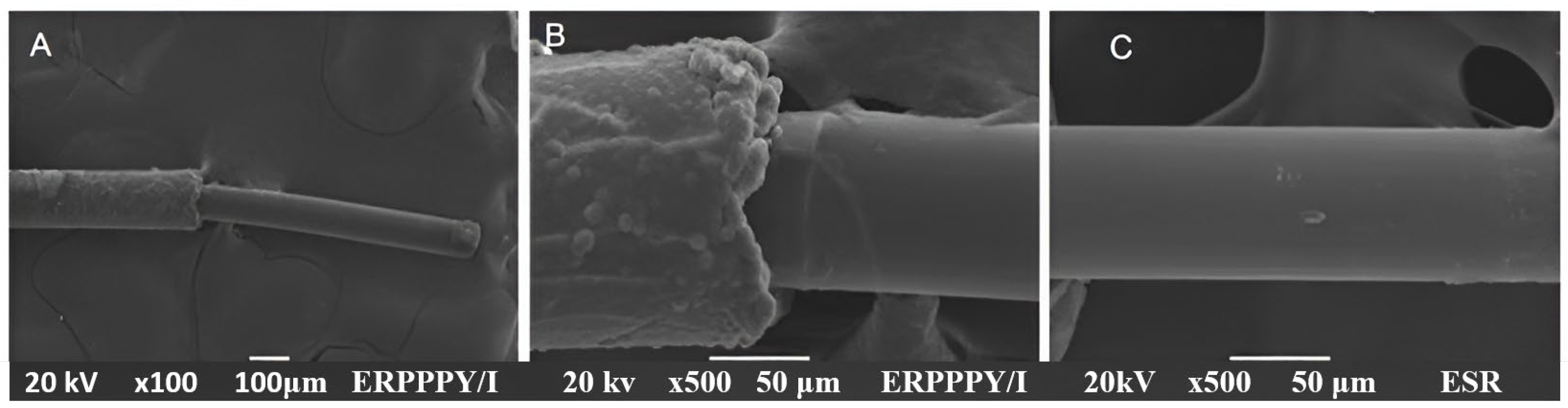 Polymers 16 00823 g009 Polymers 16 00823 g009
