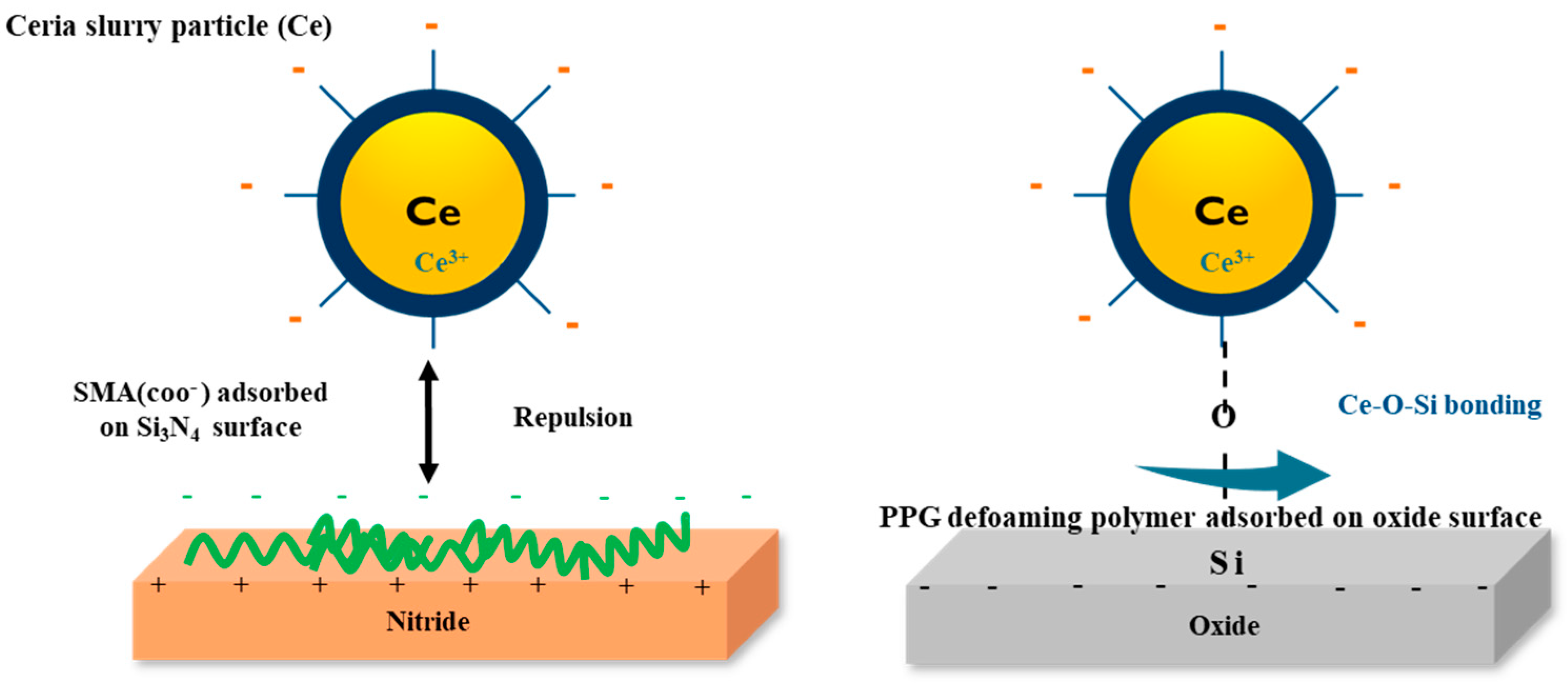 Polymers 16 00844 g004