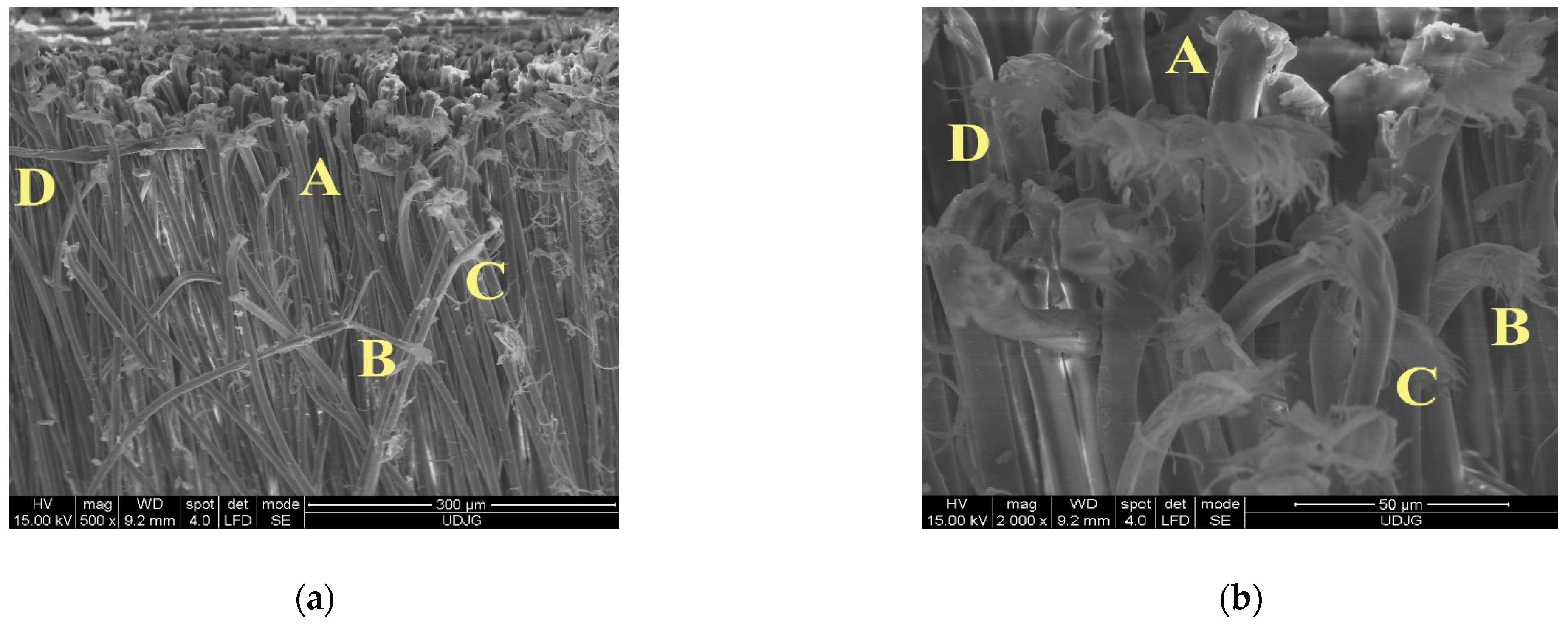 Polymers 16 00882 g024