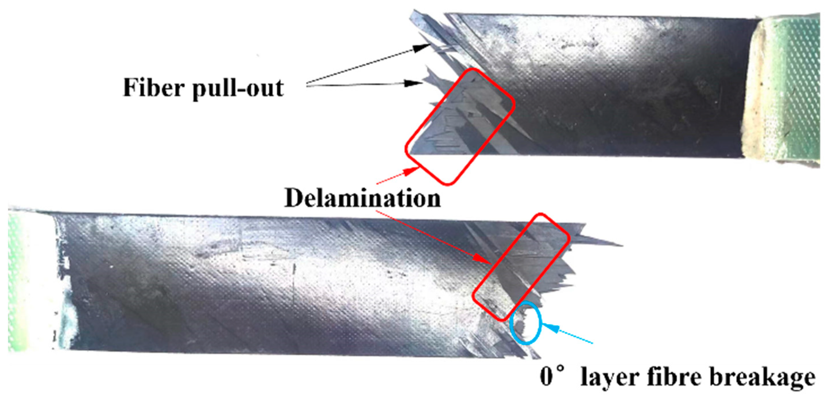 Polymers 16 00890 g008