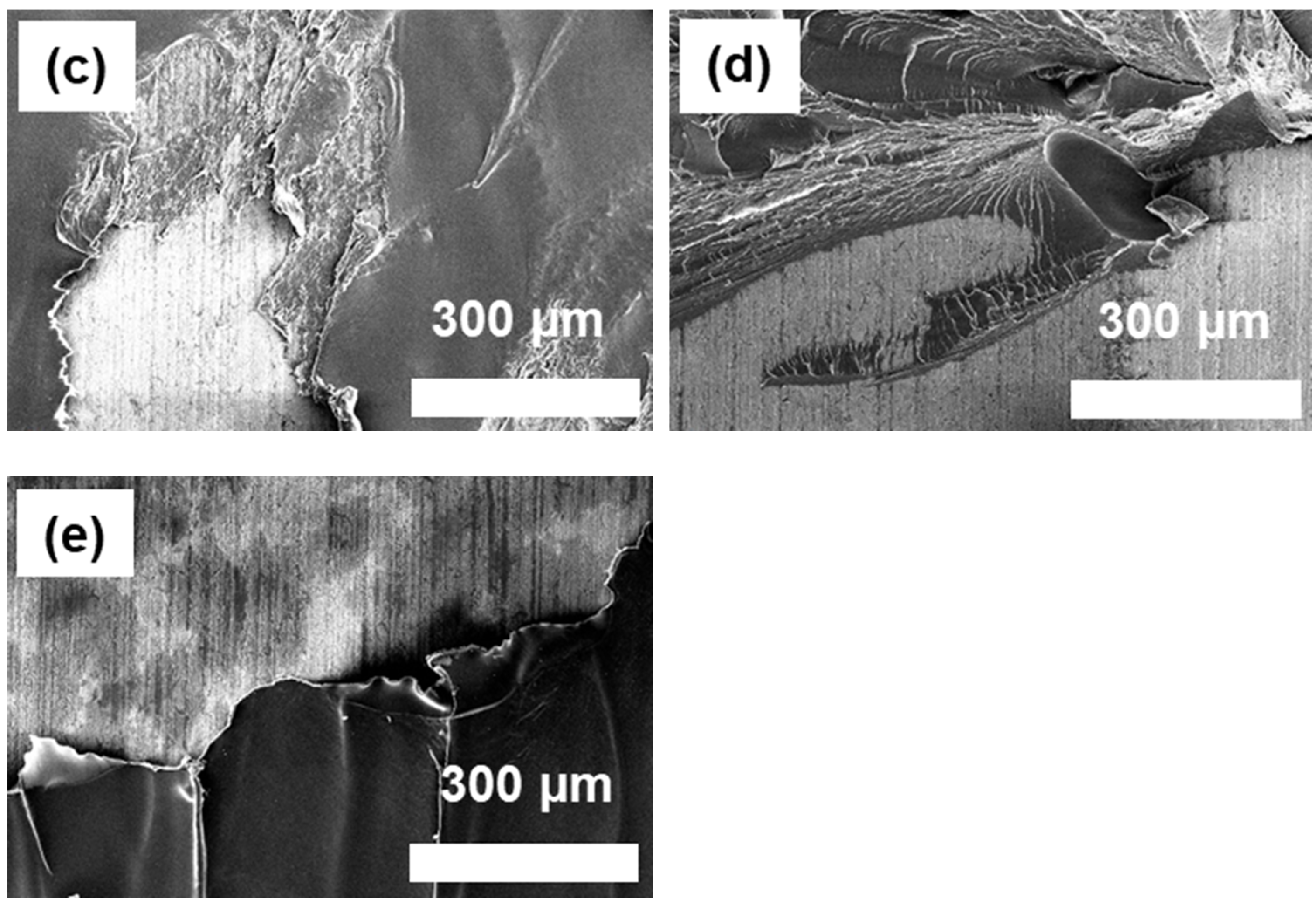 Polymers 16 00896 g010b Polymers 16 00896 g010b