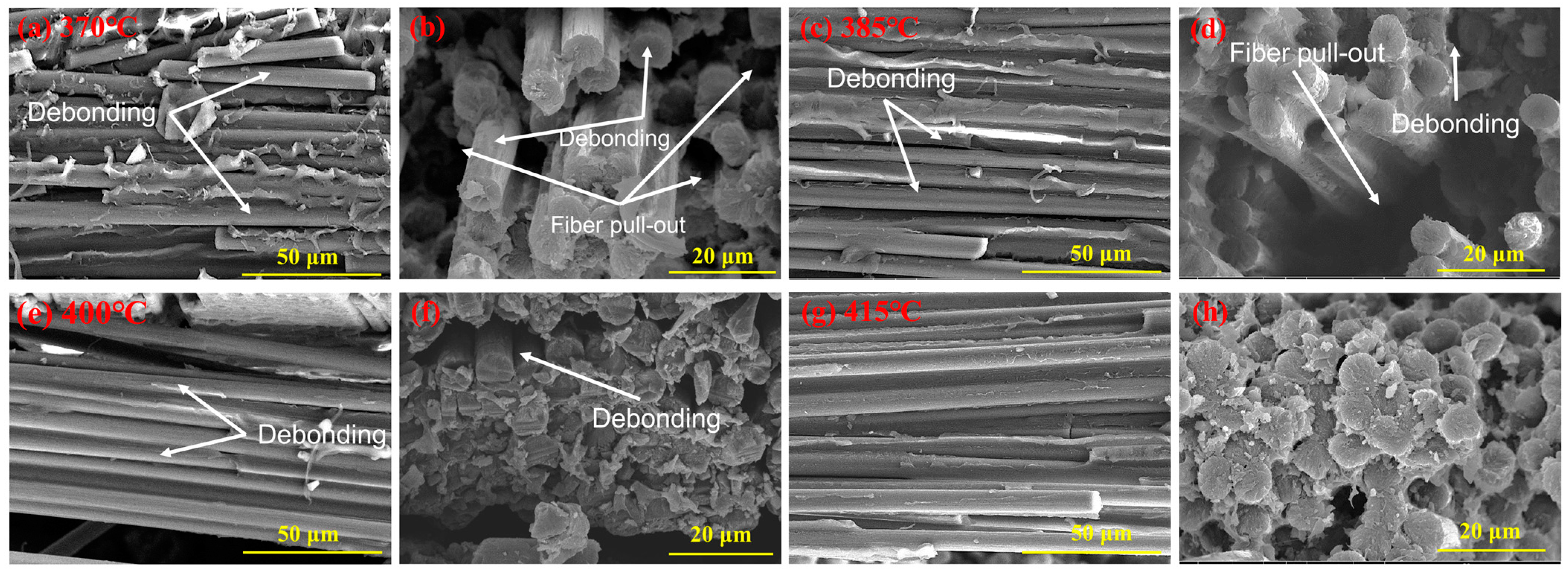 Polymers 16 00897 g006