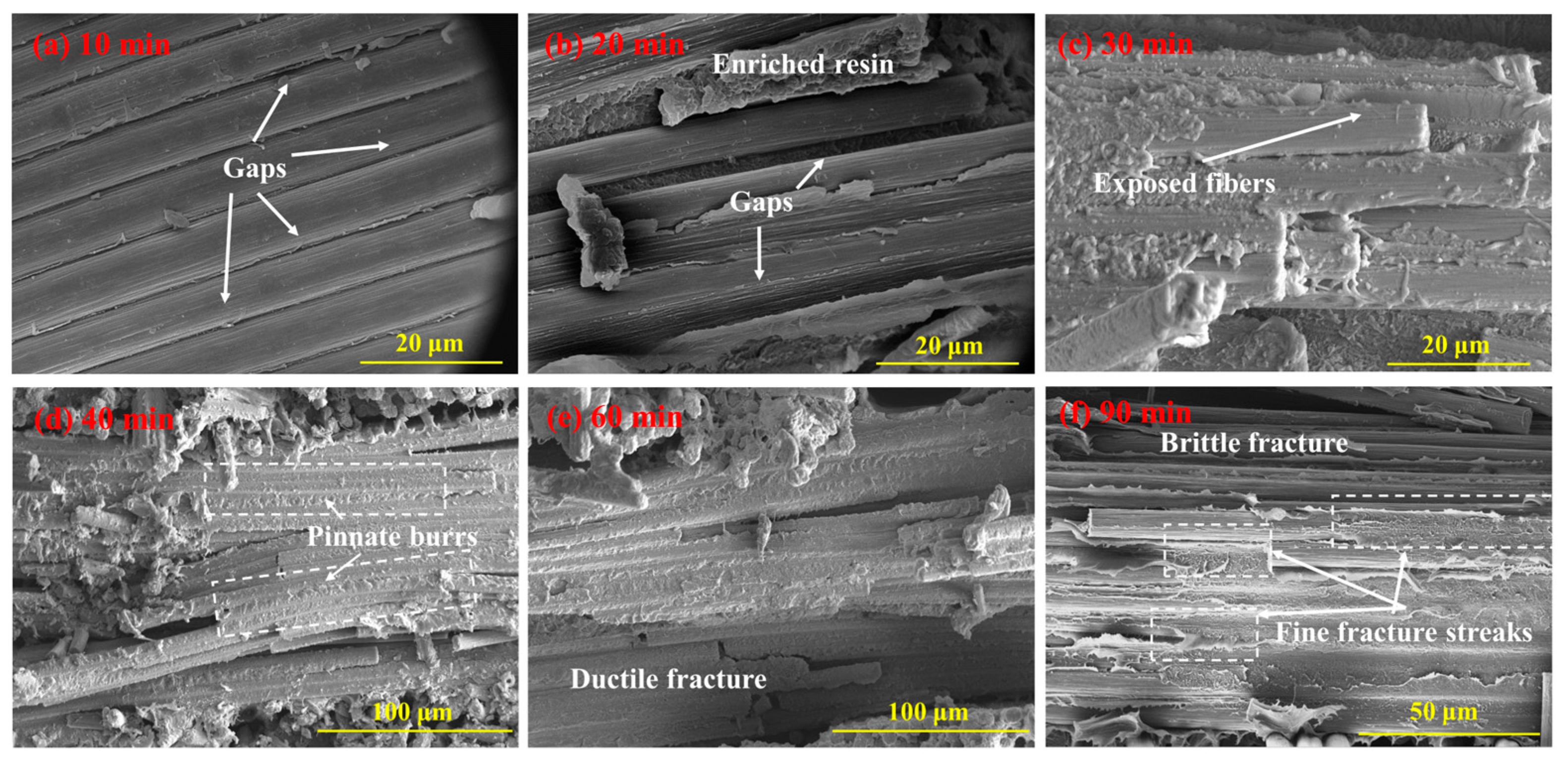Polymers 16 00897 g014
