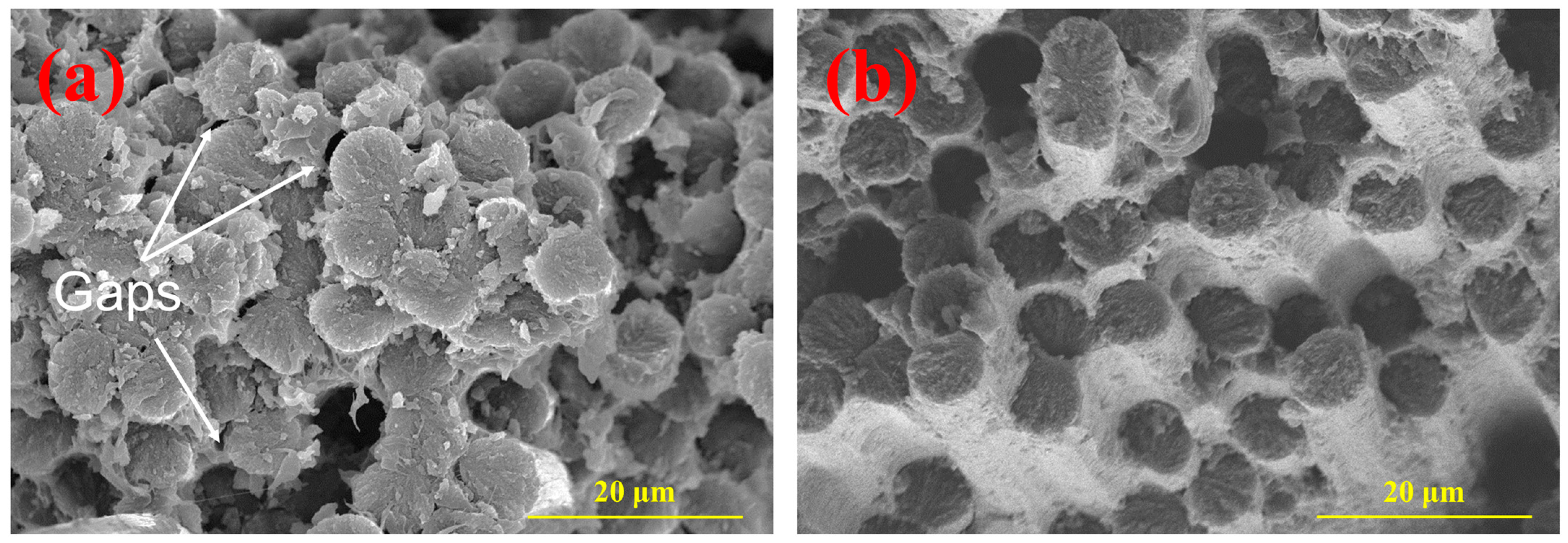 Polymers 16 00897 g018