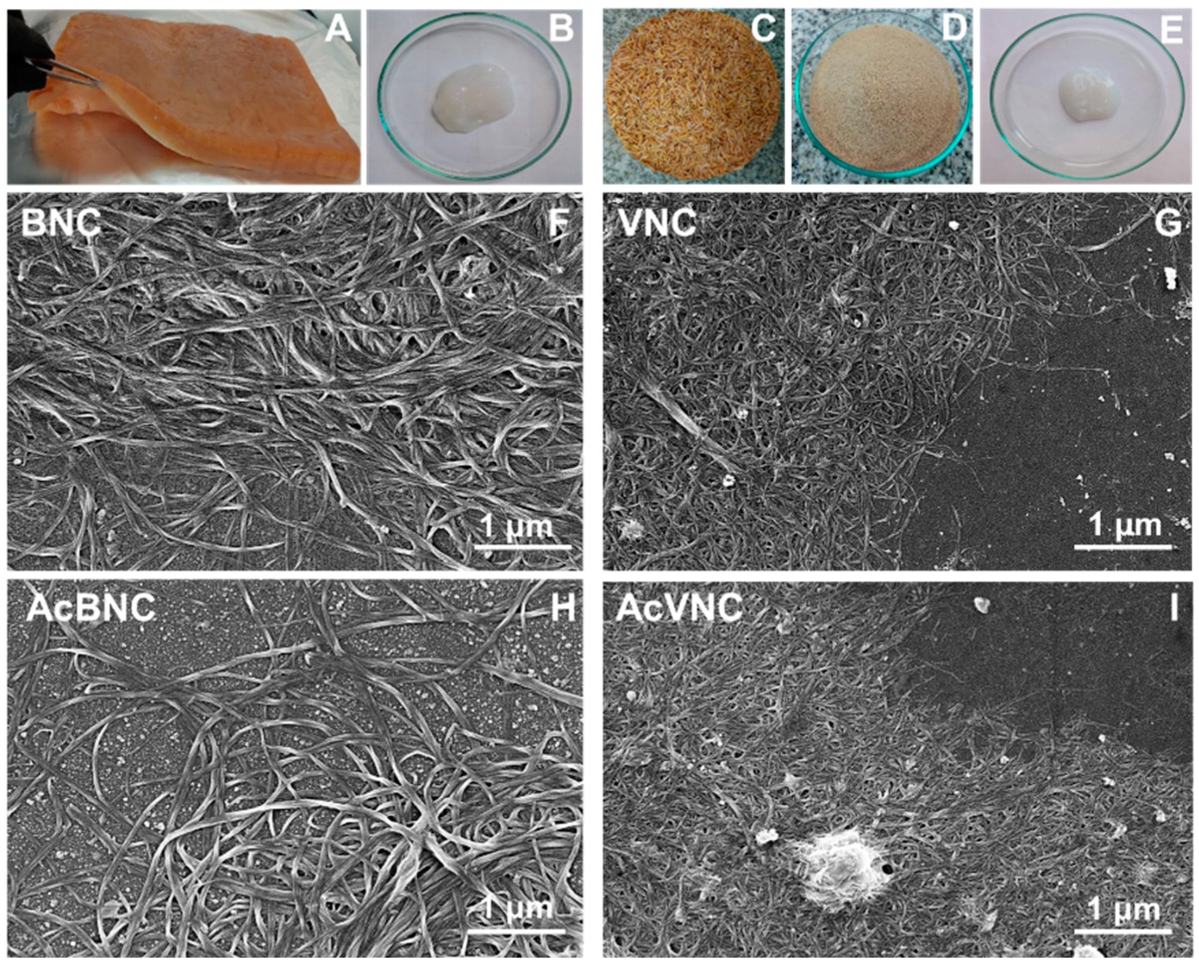 Polymers 16 00898 g001