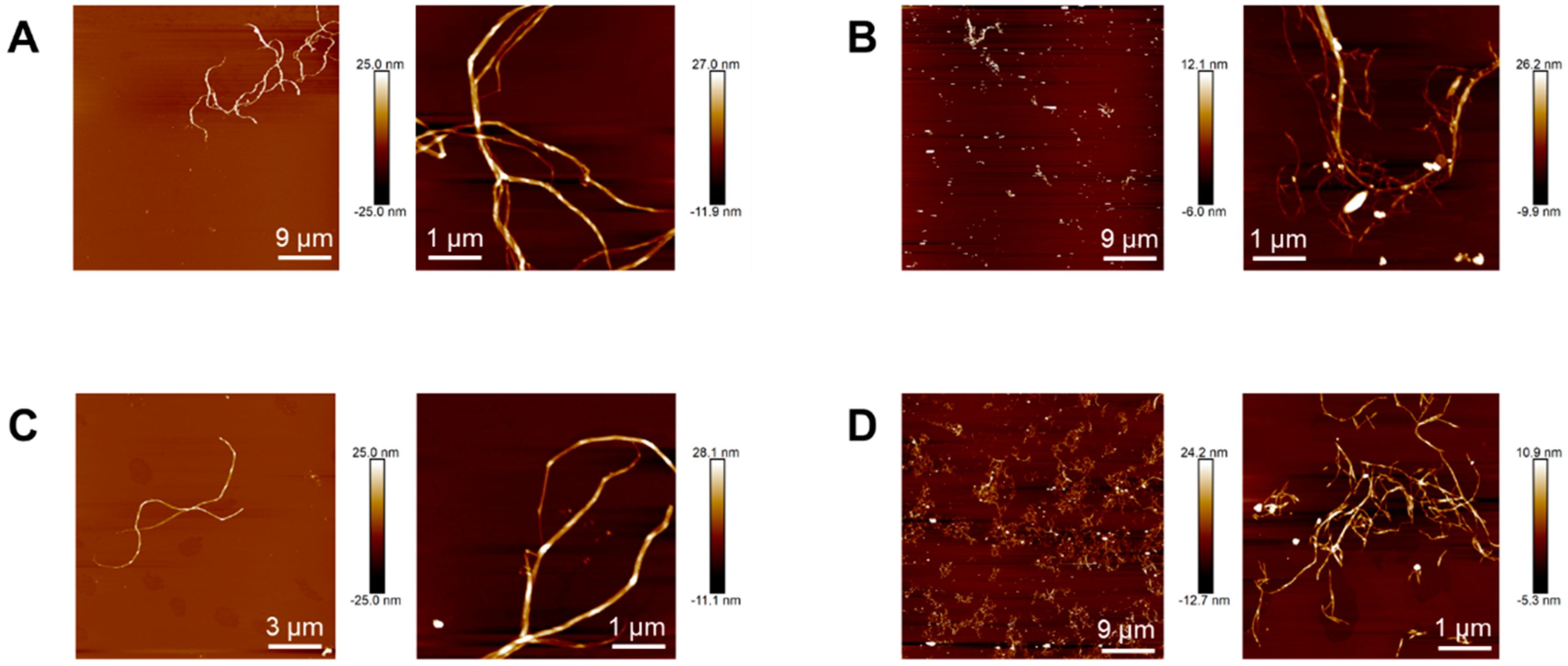 Polymers 16 00898 g002