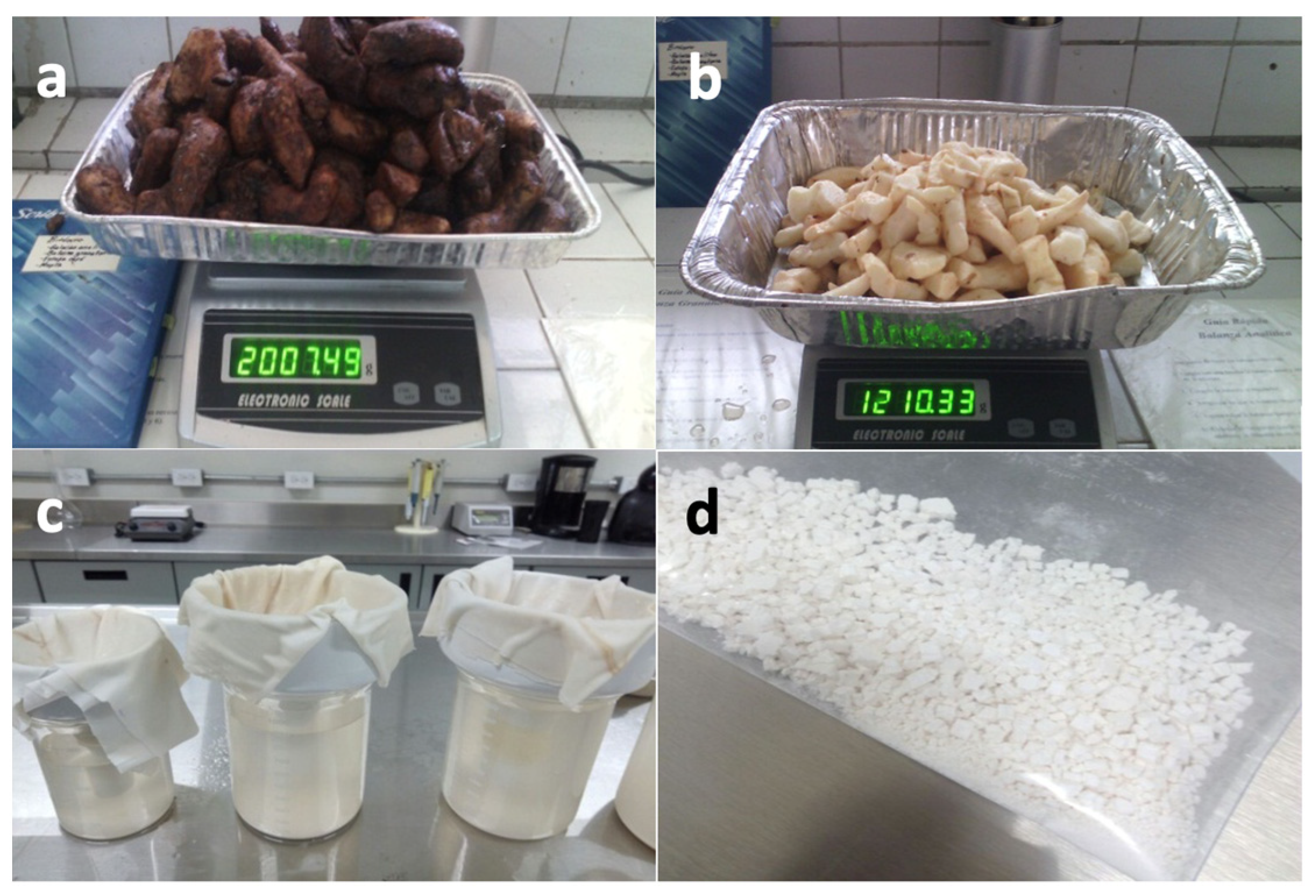 Polymers 16 00899 g001