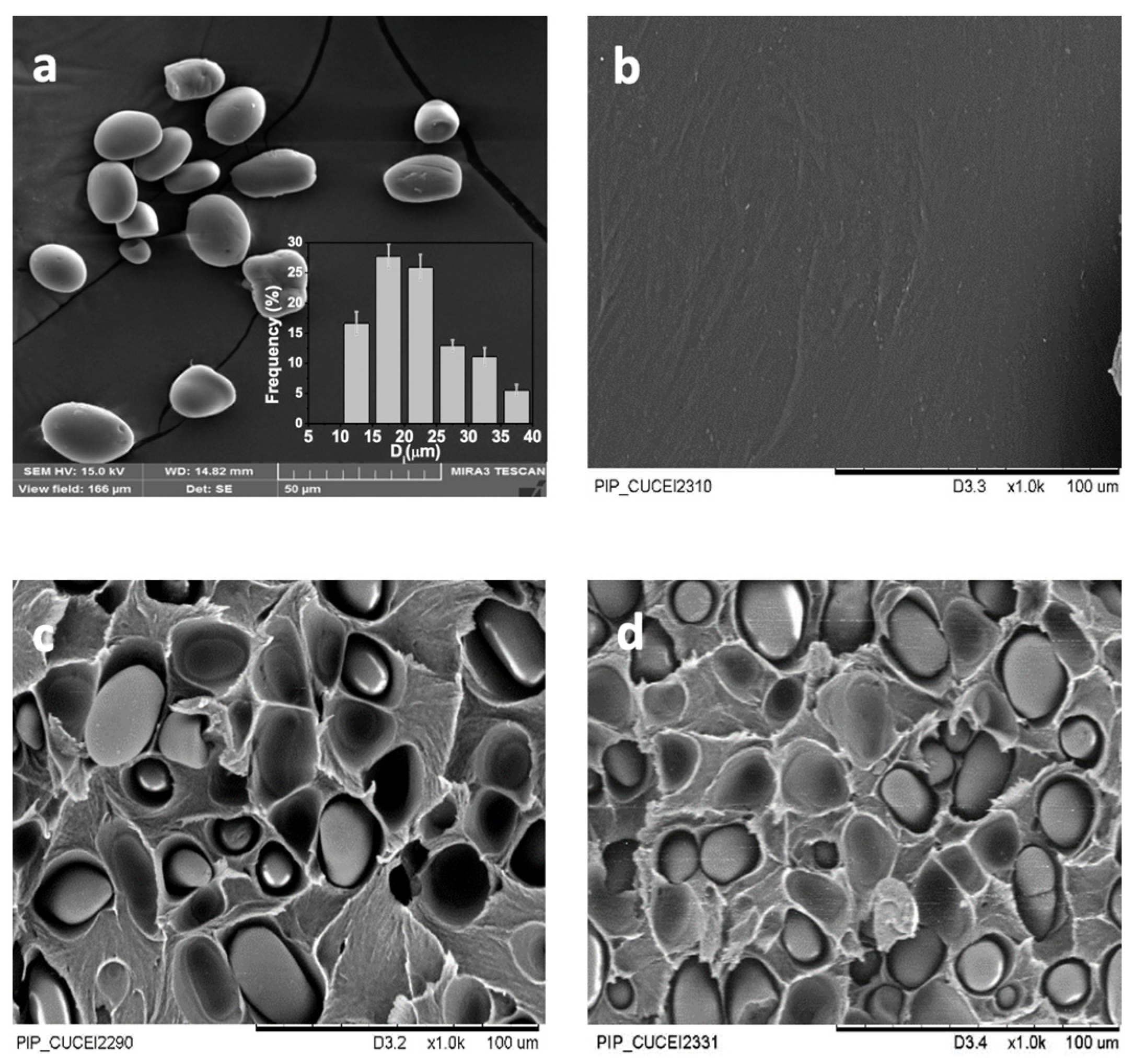 Polymers 16 00899 g002