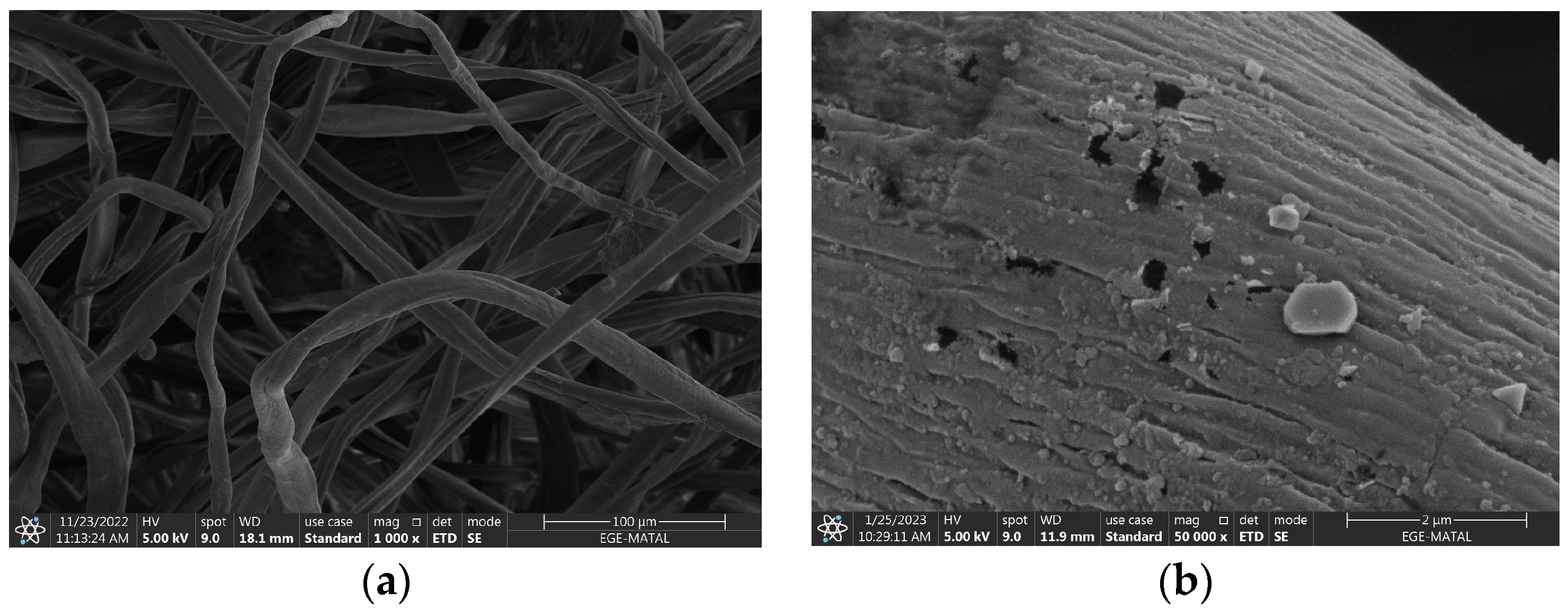 Polymers 16 00915 g016a
