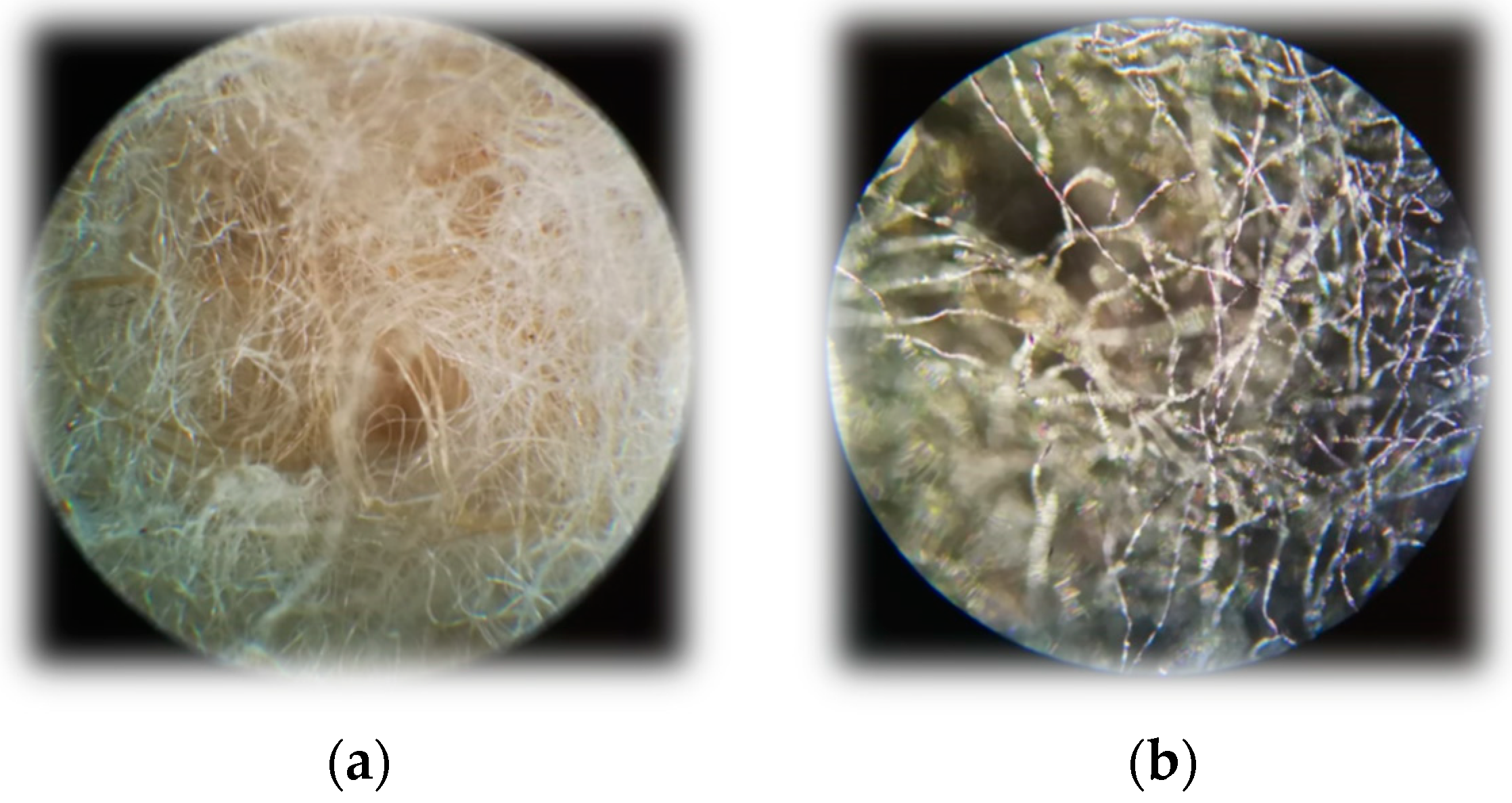 Polymers 16 00915 g017