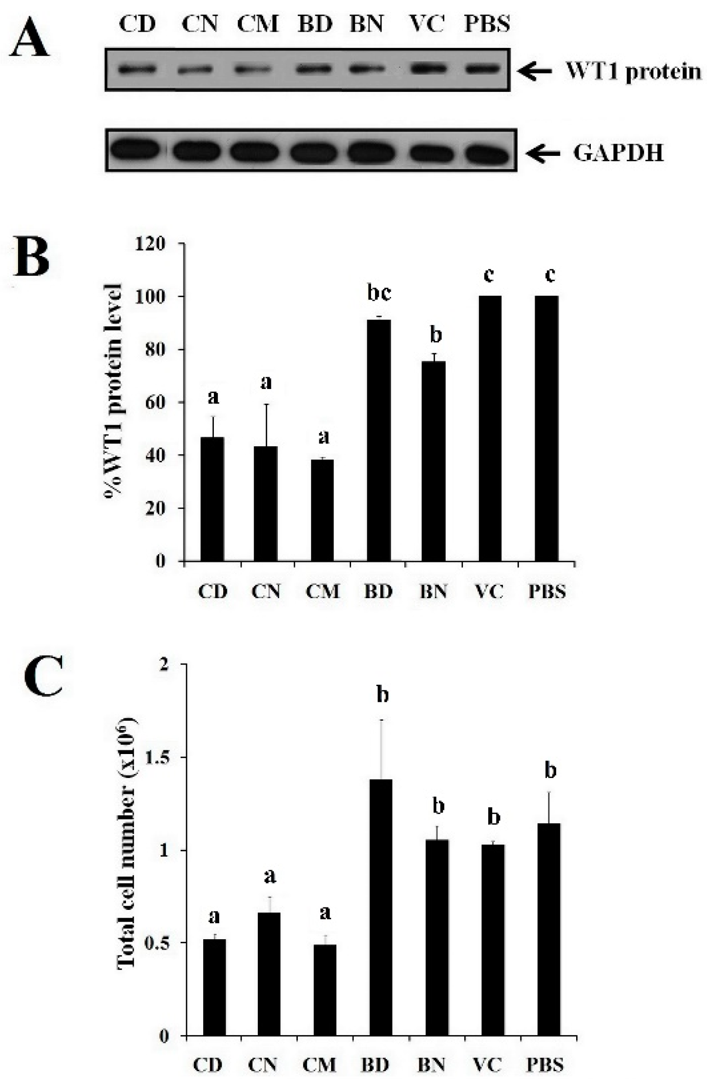 Polymers 16 00917 g008 Polymers 16 00917 g008