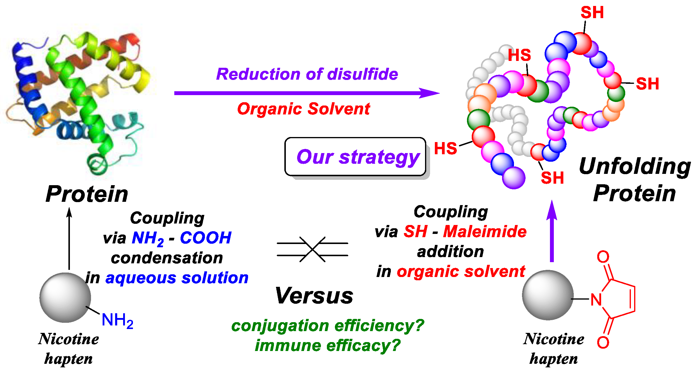 Polymers 16 00931 g001