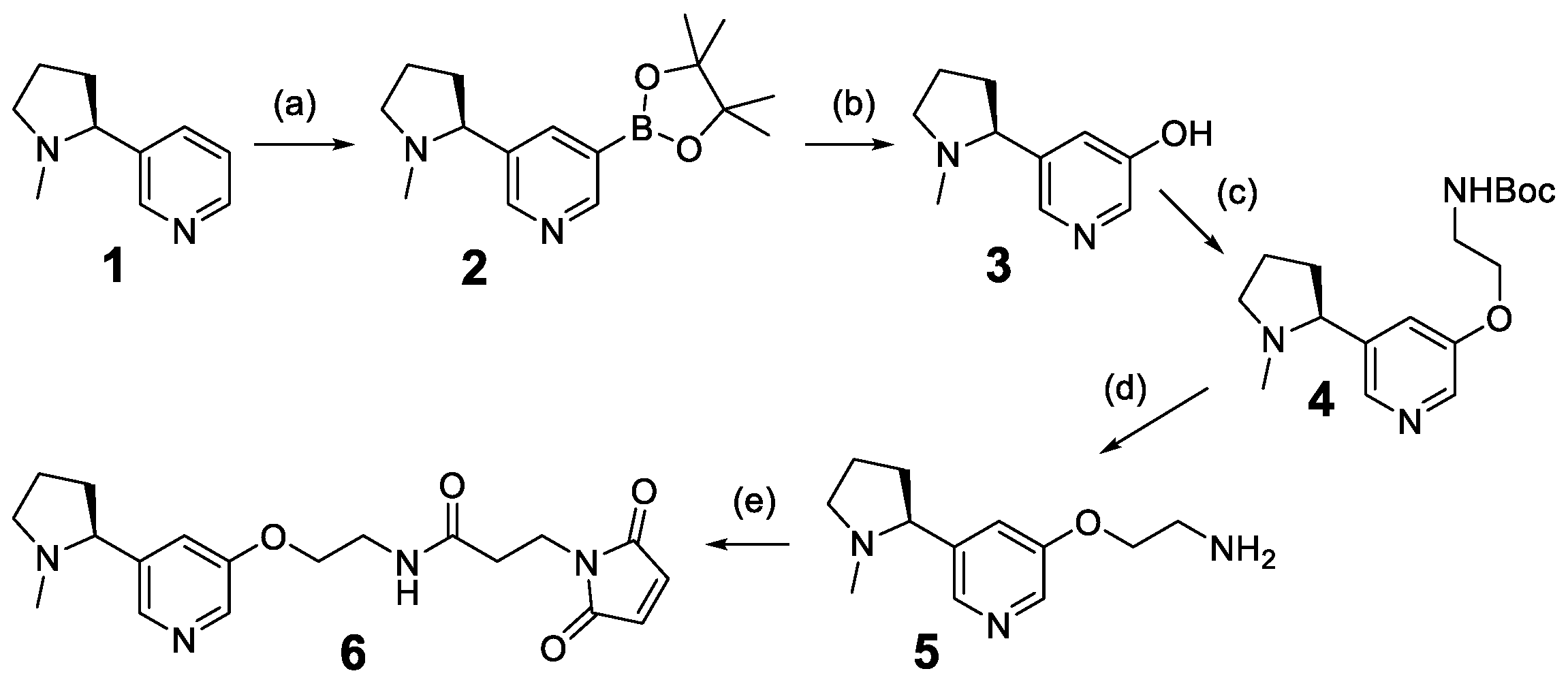 Polymers 16 00931 sch001