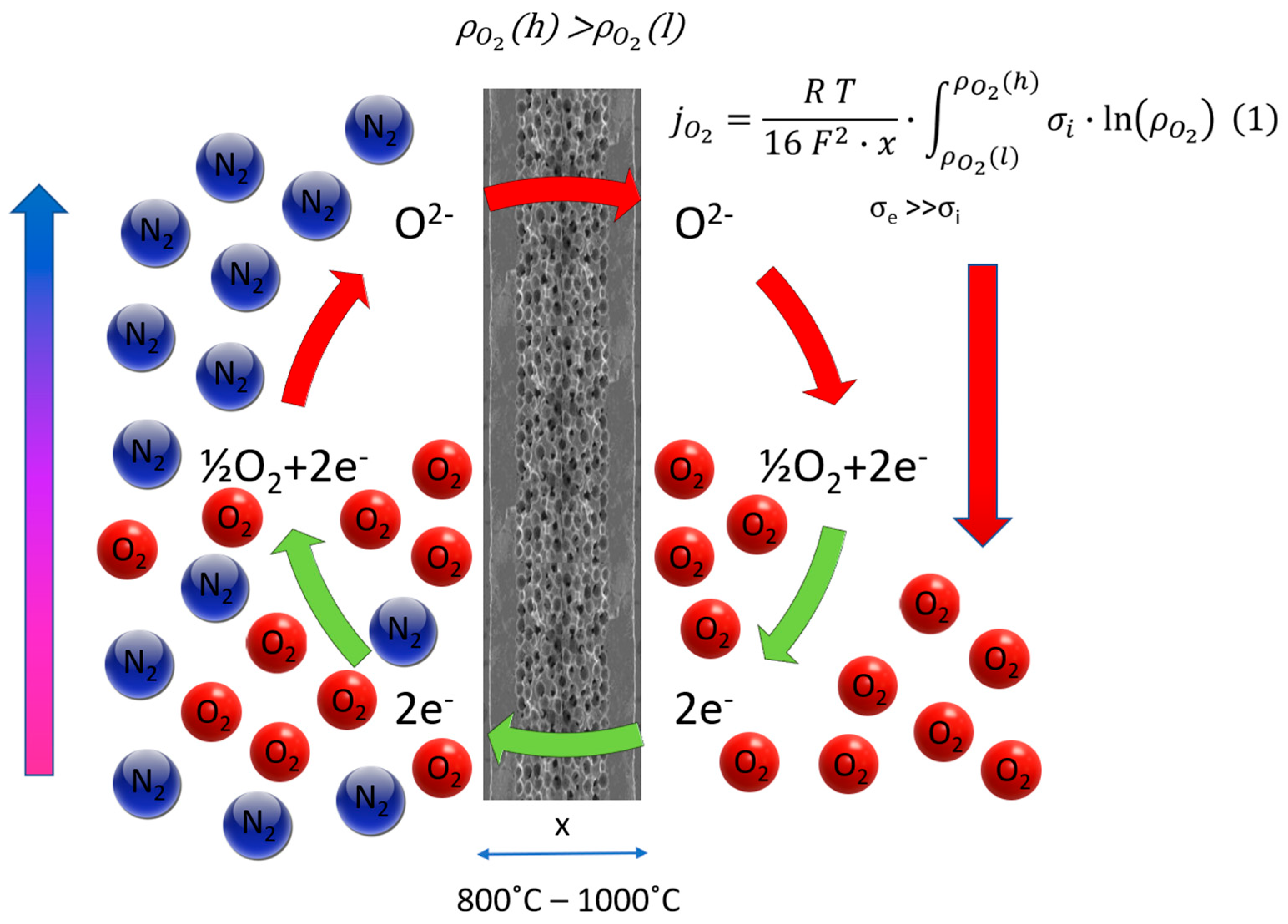 Polymers 16 00932 g002