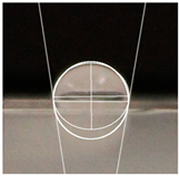 Polymers 16 00941 i003