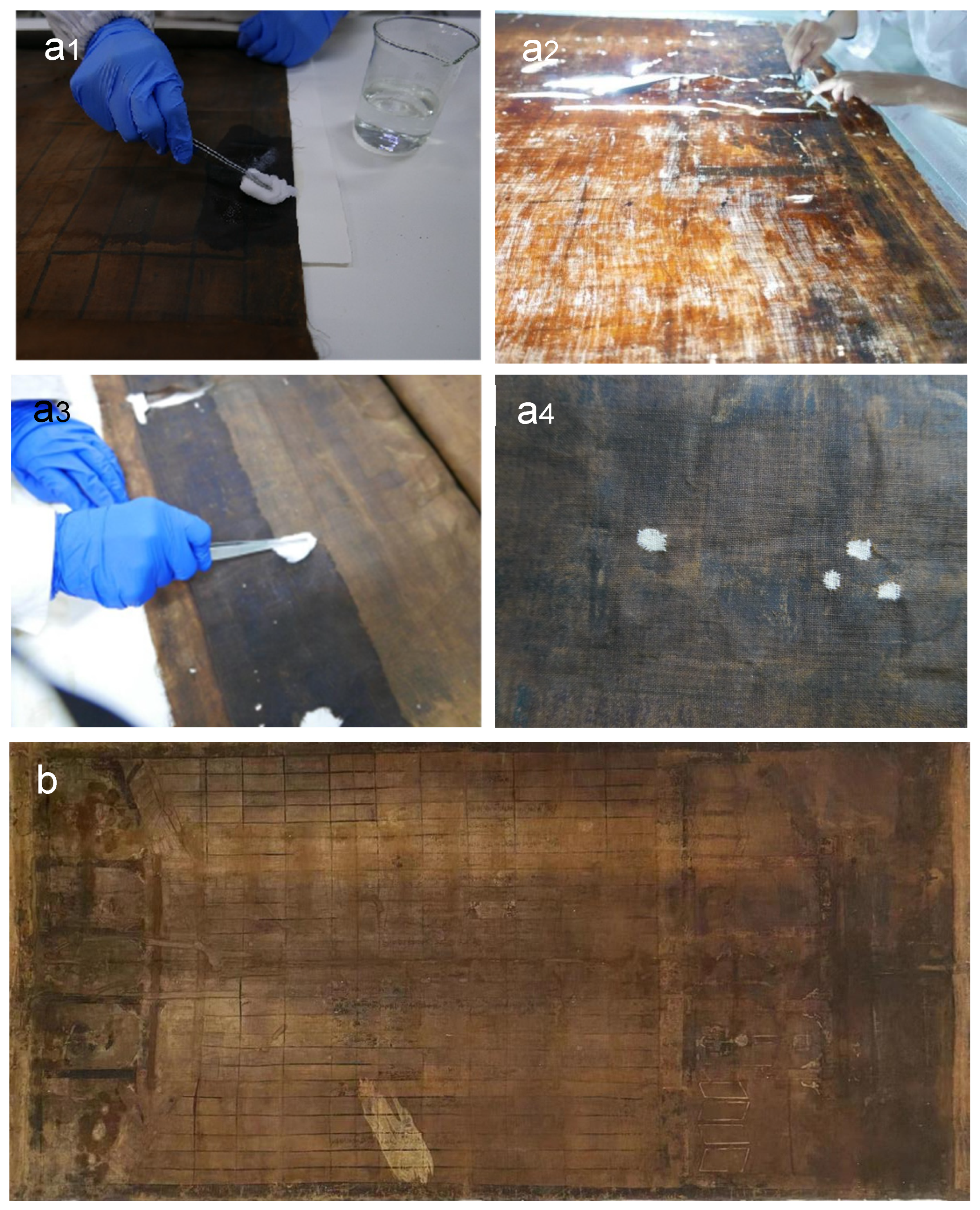 Polymers 16 00946 g007