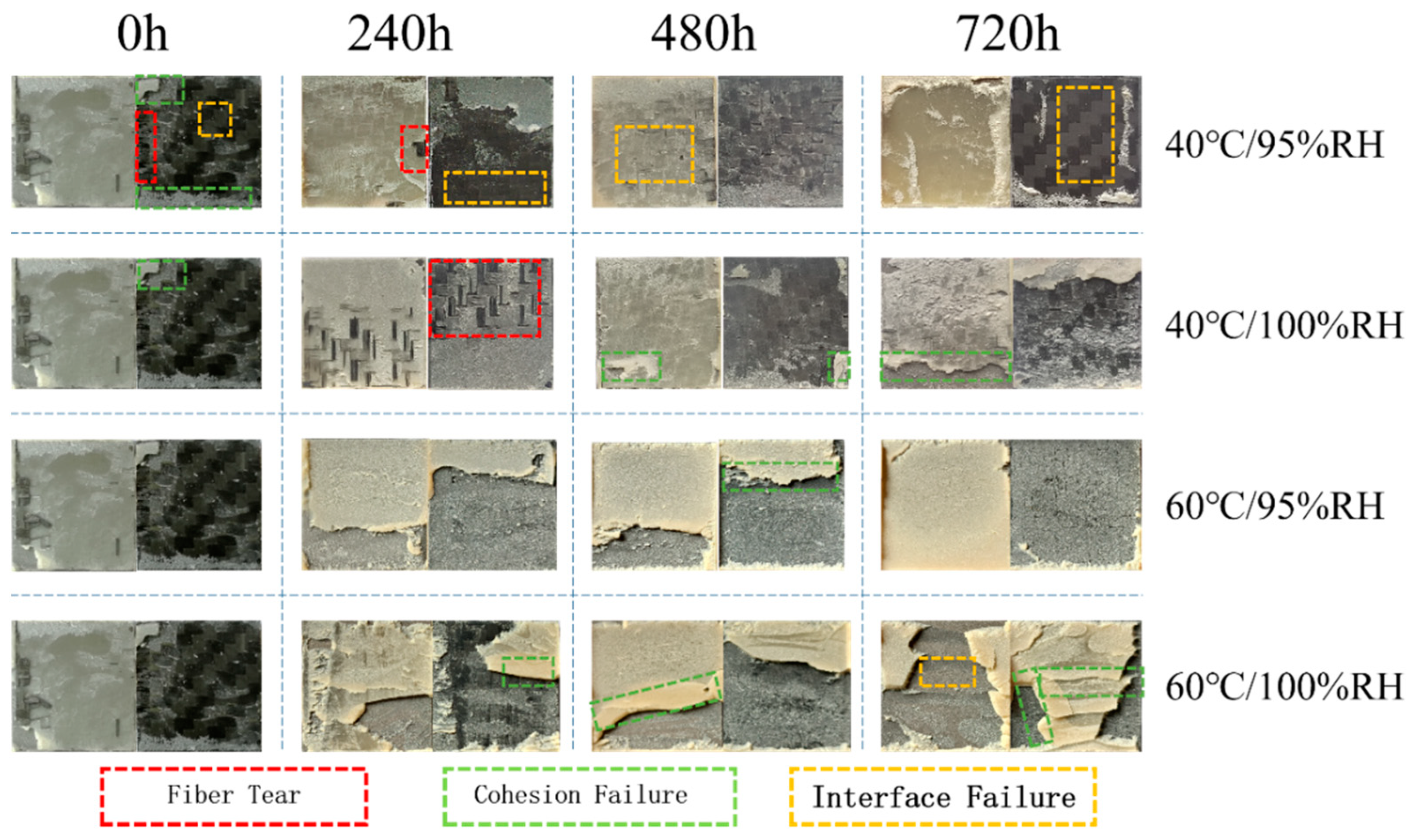 Polymers 16 00952 g009