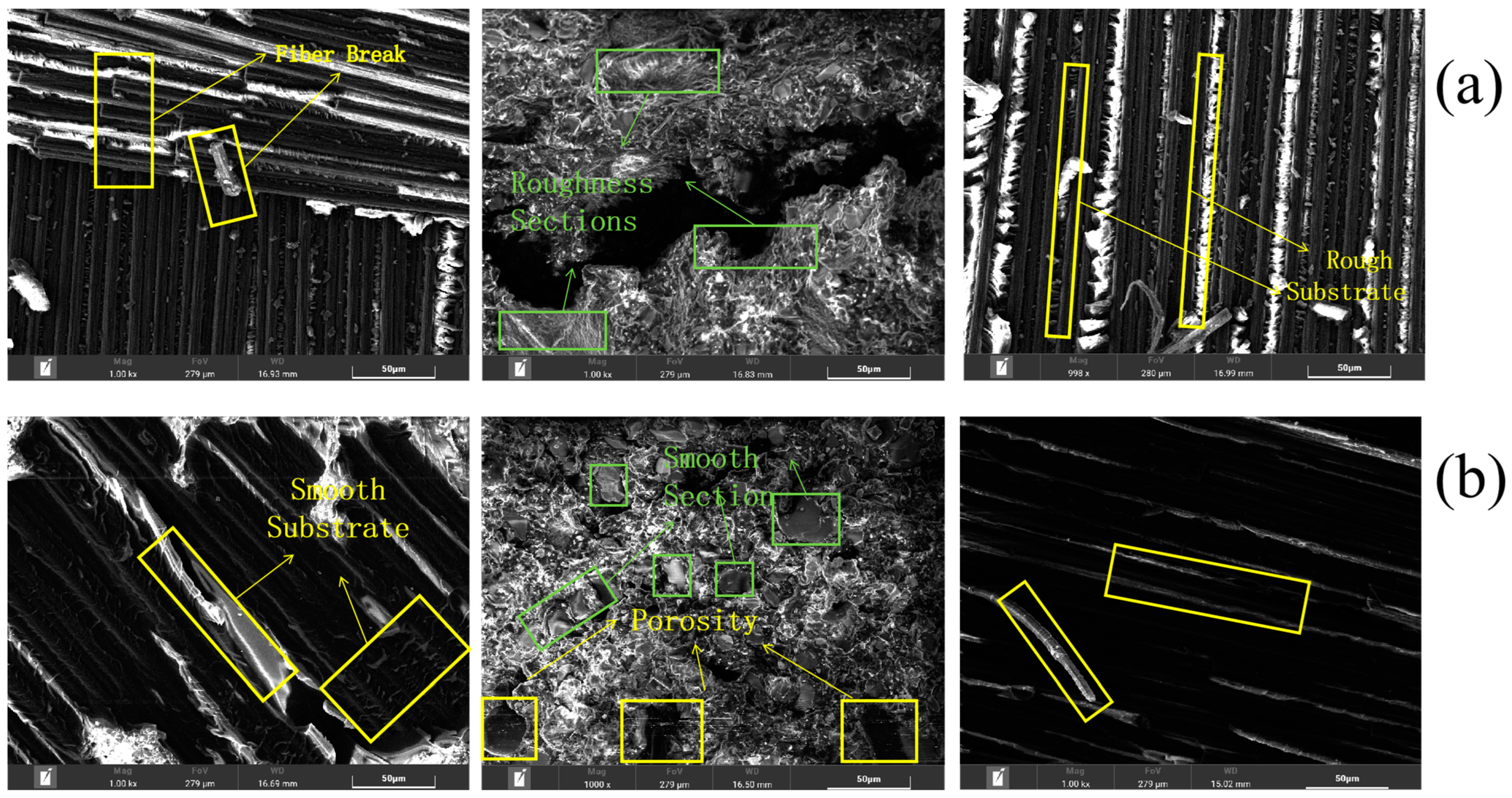 Polymers 16 00952 g010