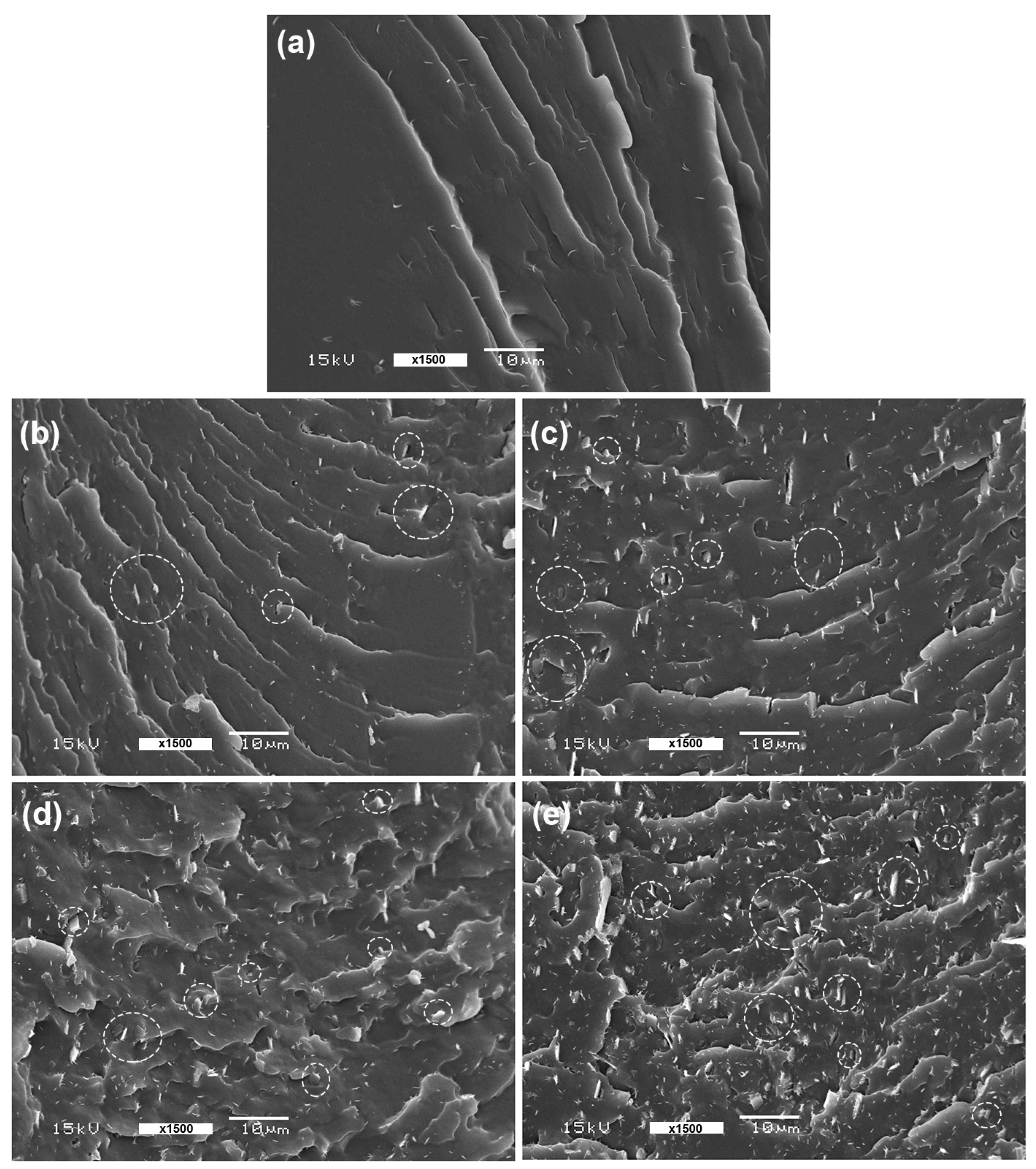 Polymers 16 00975 g009
