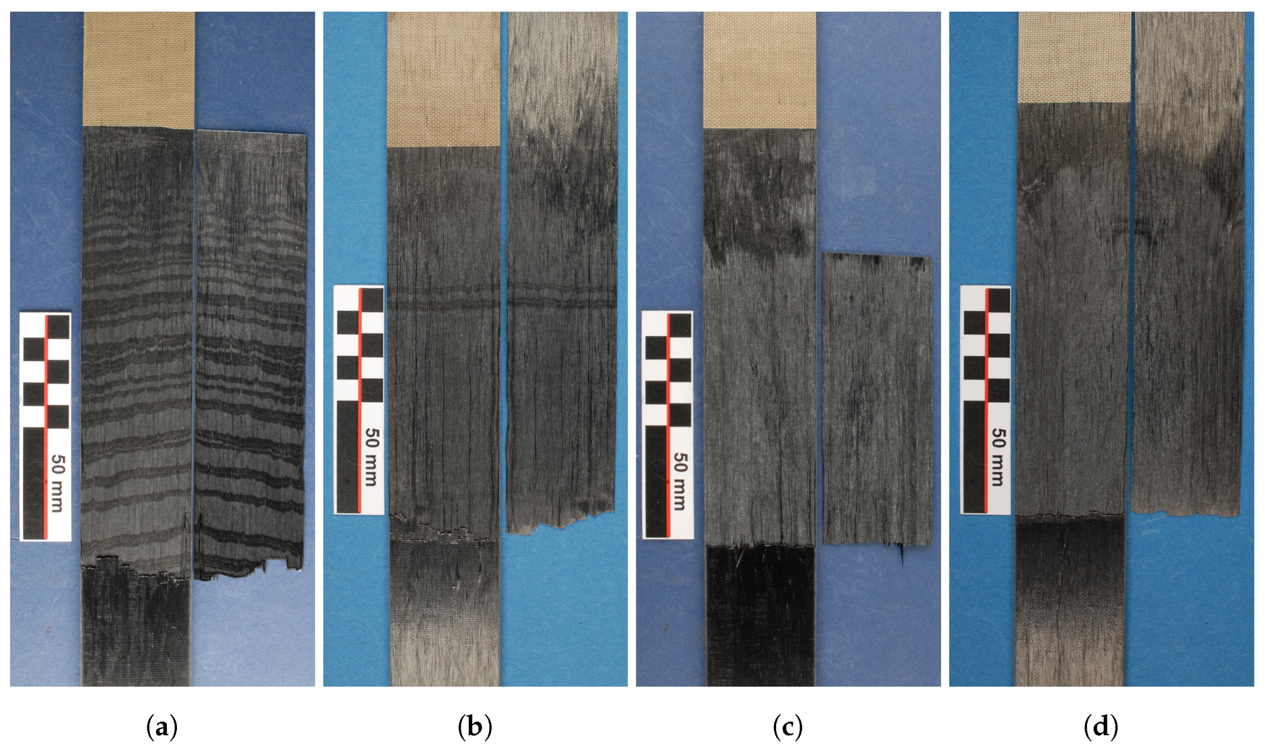 Polymers 16 00976 g012