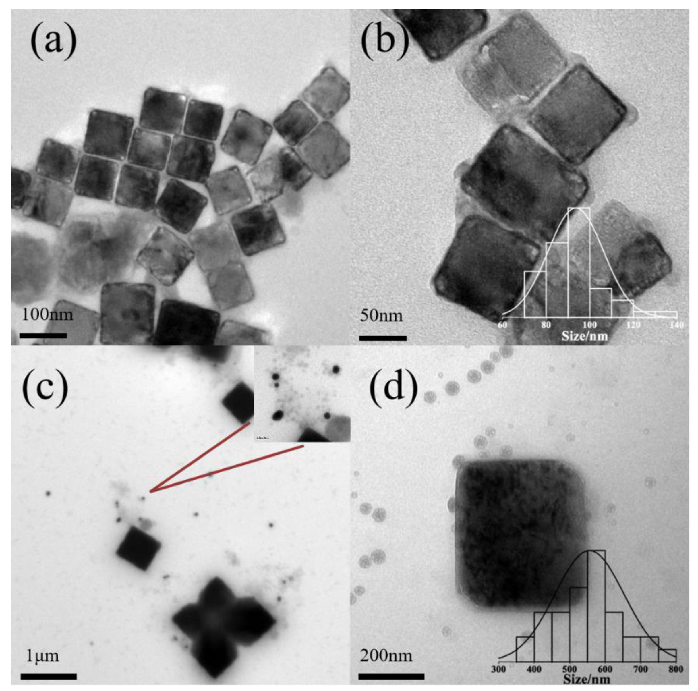 Polymers 16 00982 g003