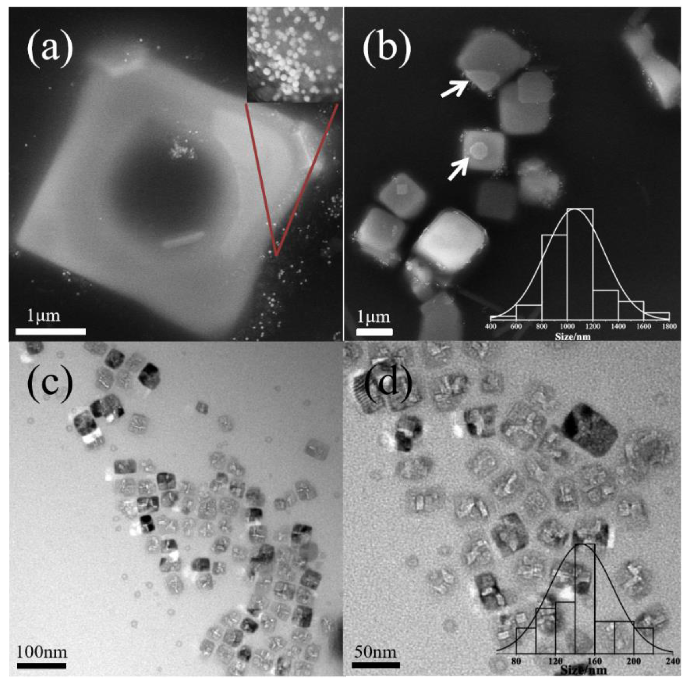 Polymers 16 00982 g004