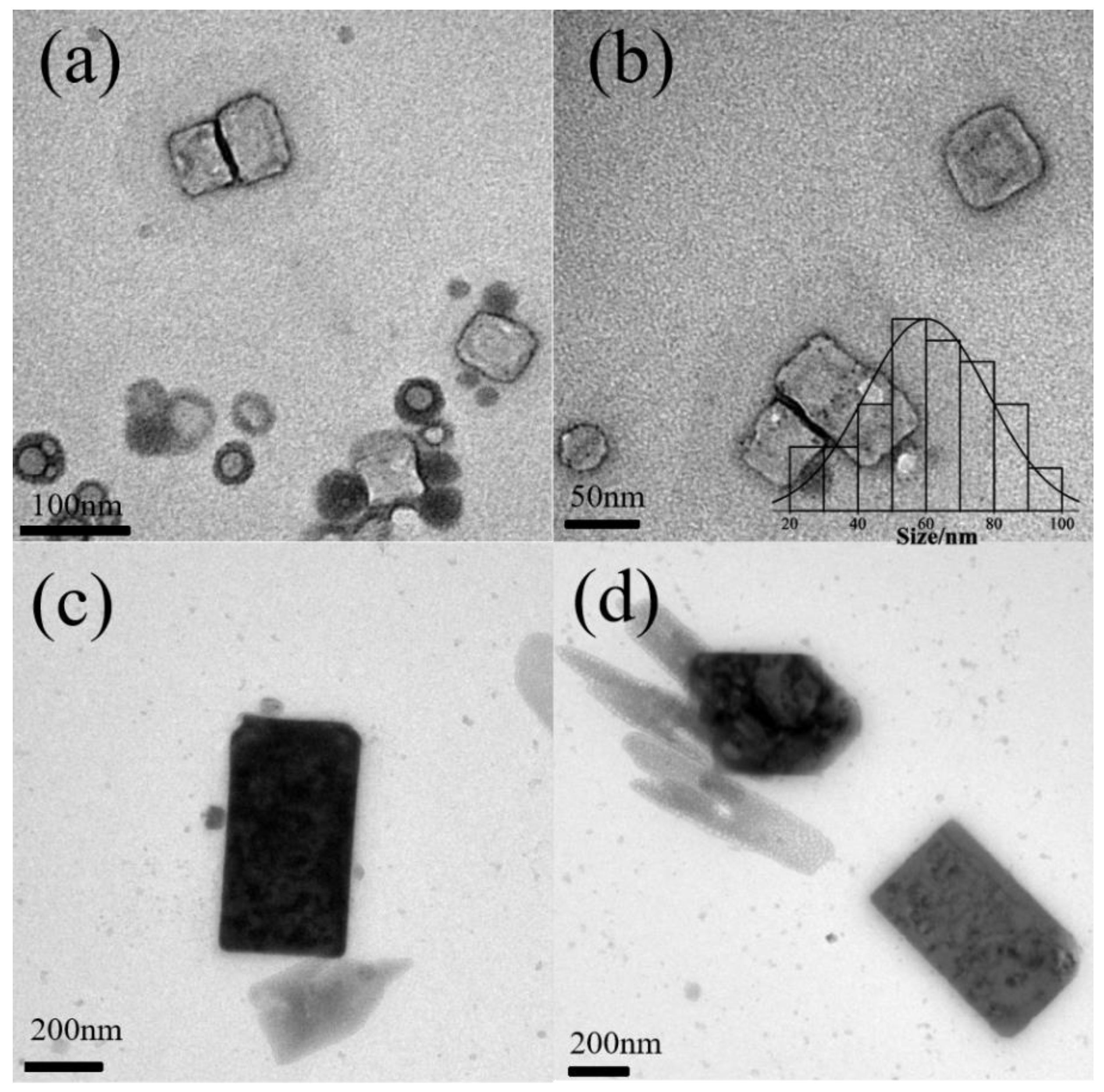 Polymers 16 00982 g005